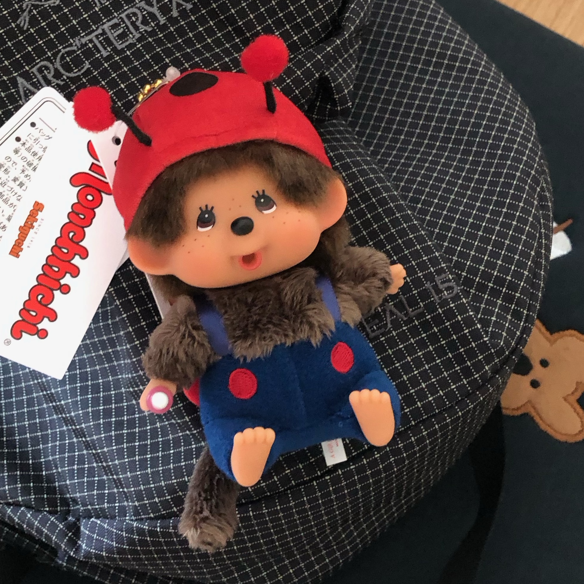 Monchhichi Bighead SS Ladybug Key Chain 착용 스타일 - 1