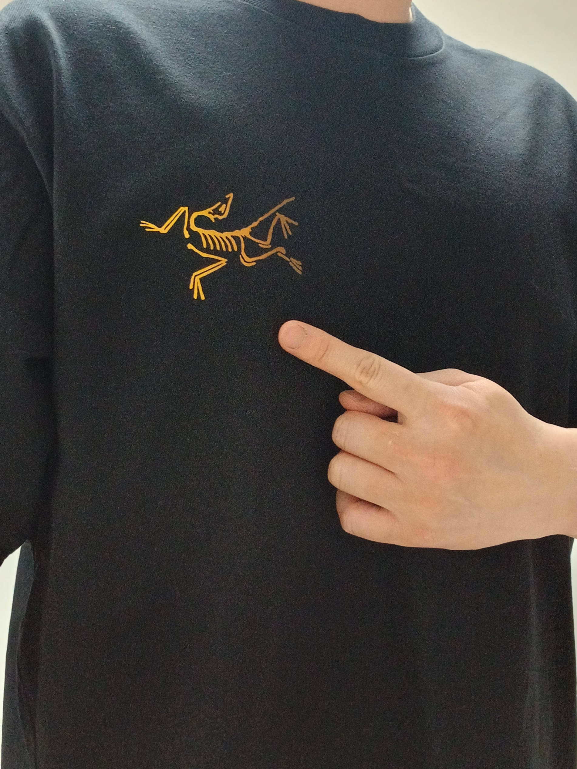 Arc'teryx Kragg Cotton Logo SS T-Shirt 24K Black, Arc'teryx Rampart Shorts 9 Inch Black 착용 스타일 - 3
