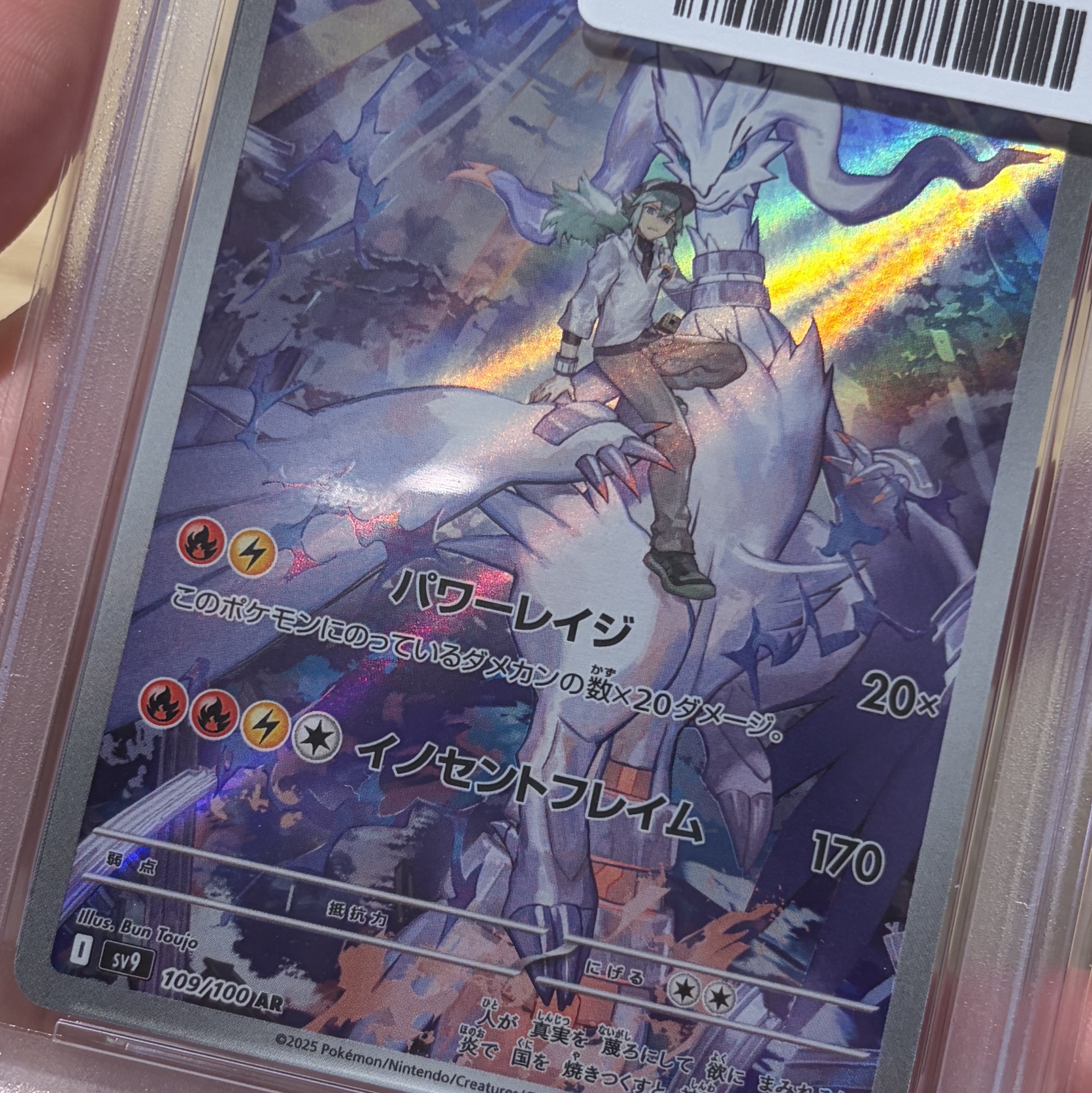 Pokemon TCG Pikachu P Sword & Shield Promos (Japanese Ver.), Pokemon TCG N's Reshiram AR Battle Partners (Japanese Ver.) 착용 스타일 - 2