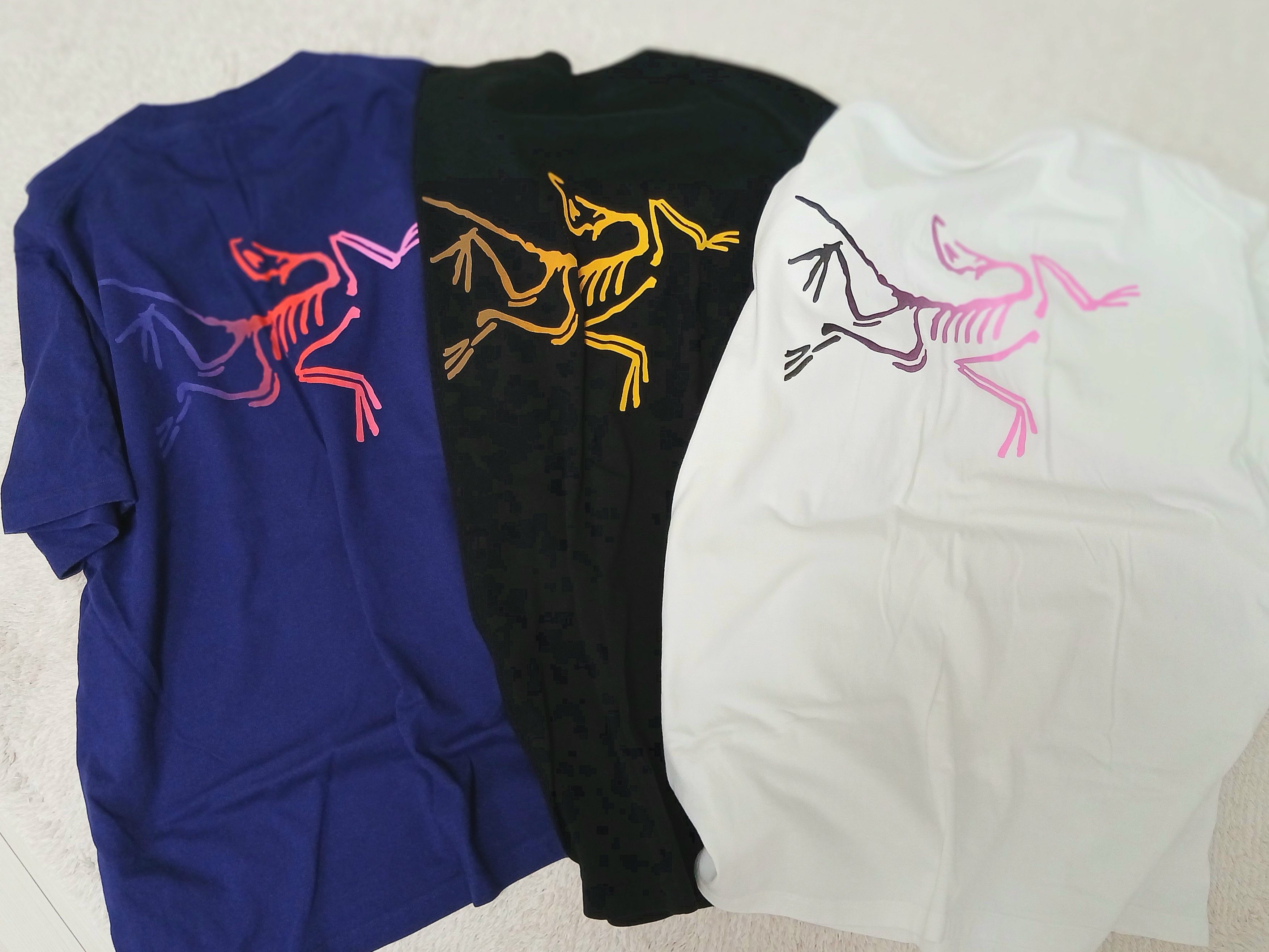 Arc'teryx Kragg Cotton Logo SS T-Shirt 24K Black, Arc'teryx Kragg Cotton Logo SS T-Shirt White Light Soul 착용 스타일 - 1