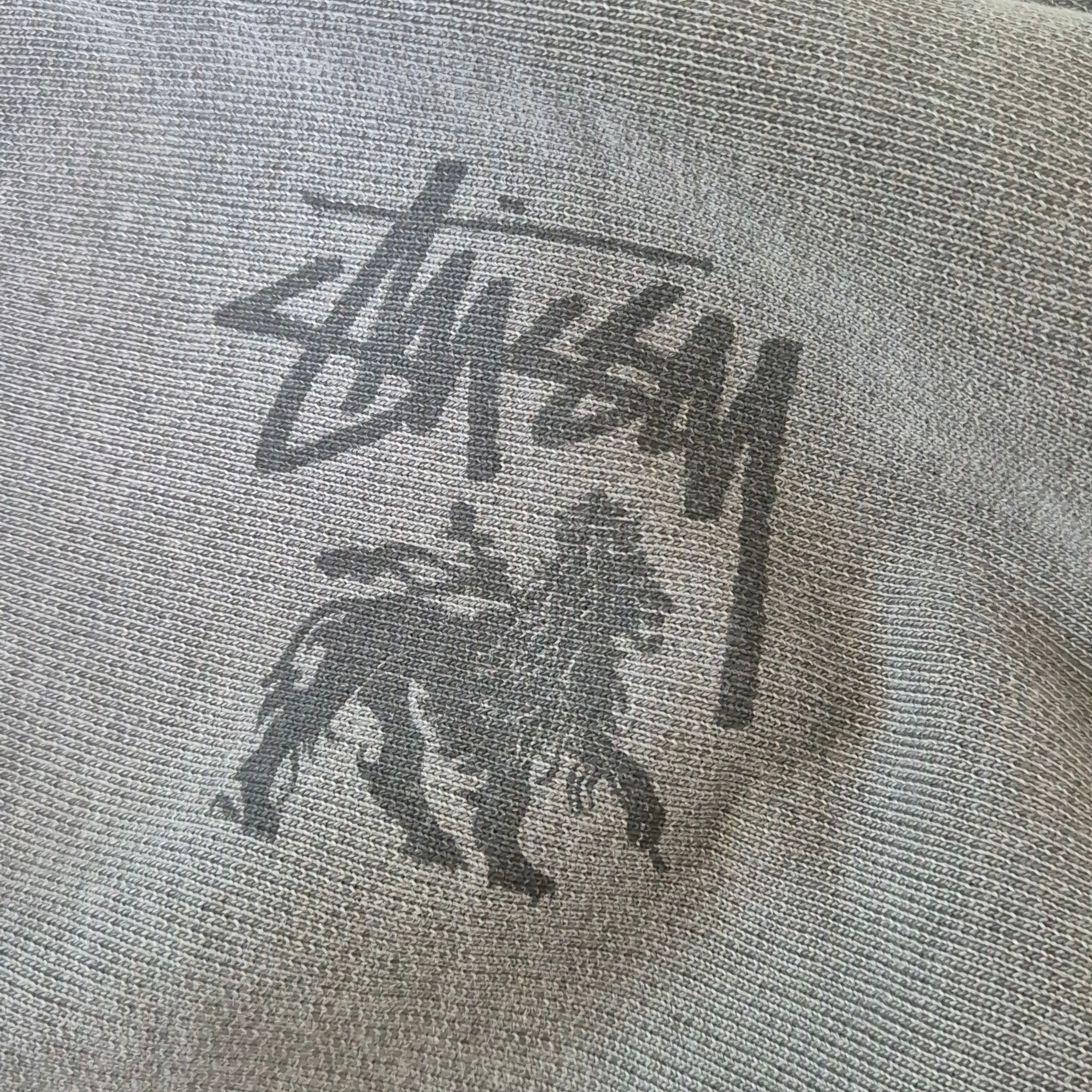 Stussy Rasta Lion Pigment Dyed Zip Hoodie Black 착용 스타일