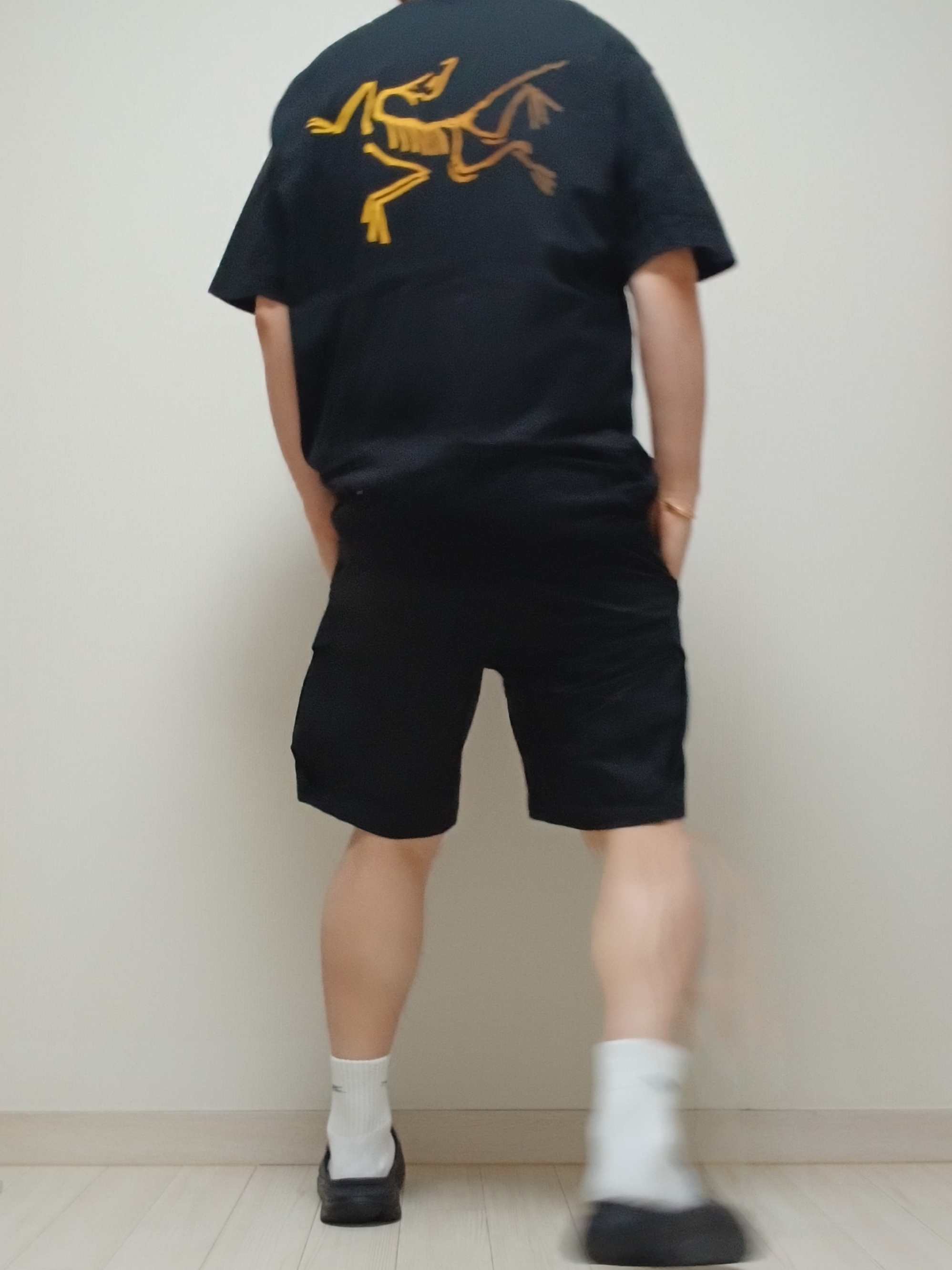 Arc'teryx Kragg Cotton Logo SS T-Shirt 24K Black, Arc'teryx Rampart Shorts 9 Inch Black 착용 스타일 - 8