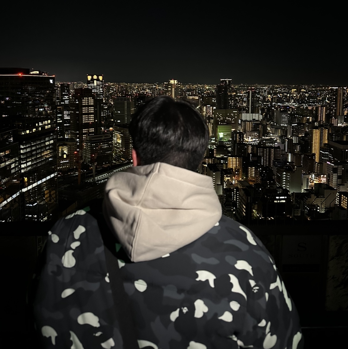 BAPE City Camo Reversible Down Jacket Black 착용 스타일