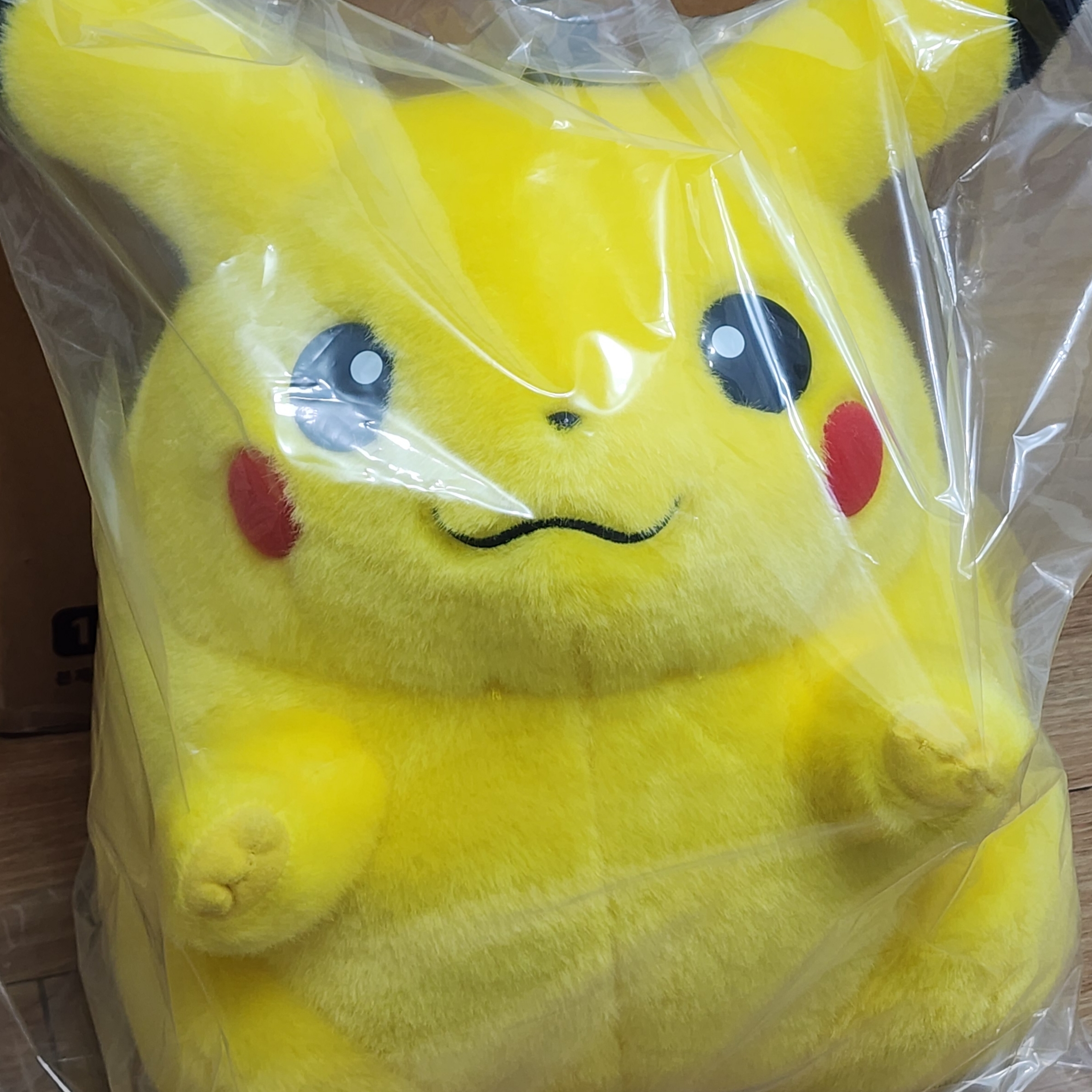 Pokemon Monster Collection 30th Anniversary Pikachu Okaeri! Plush 착용 스타일