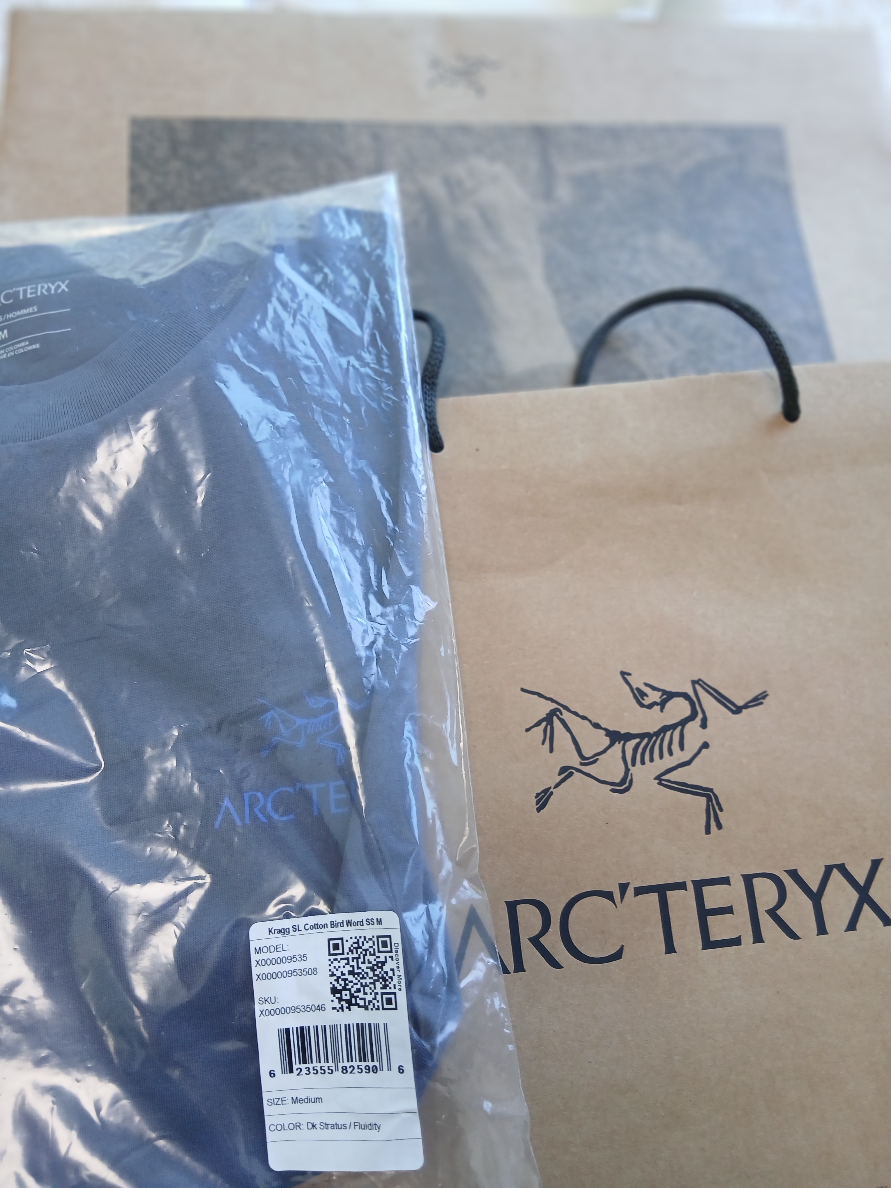 Arc'teryx Bird Word Cap Dk Stratus Habitat, Arc'teryx Kragg SL Cotton Bird Word SS T-Shirt Dk Stratus Fluidity 착용 스타일 - 4