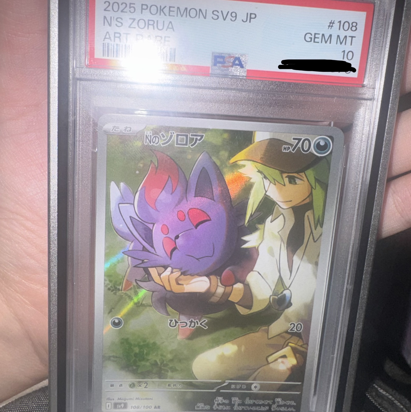 Pokemon TCG N's Zorua AR Battle Partners (Japanese Ver.) 착용 스타일
