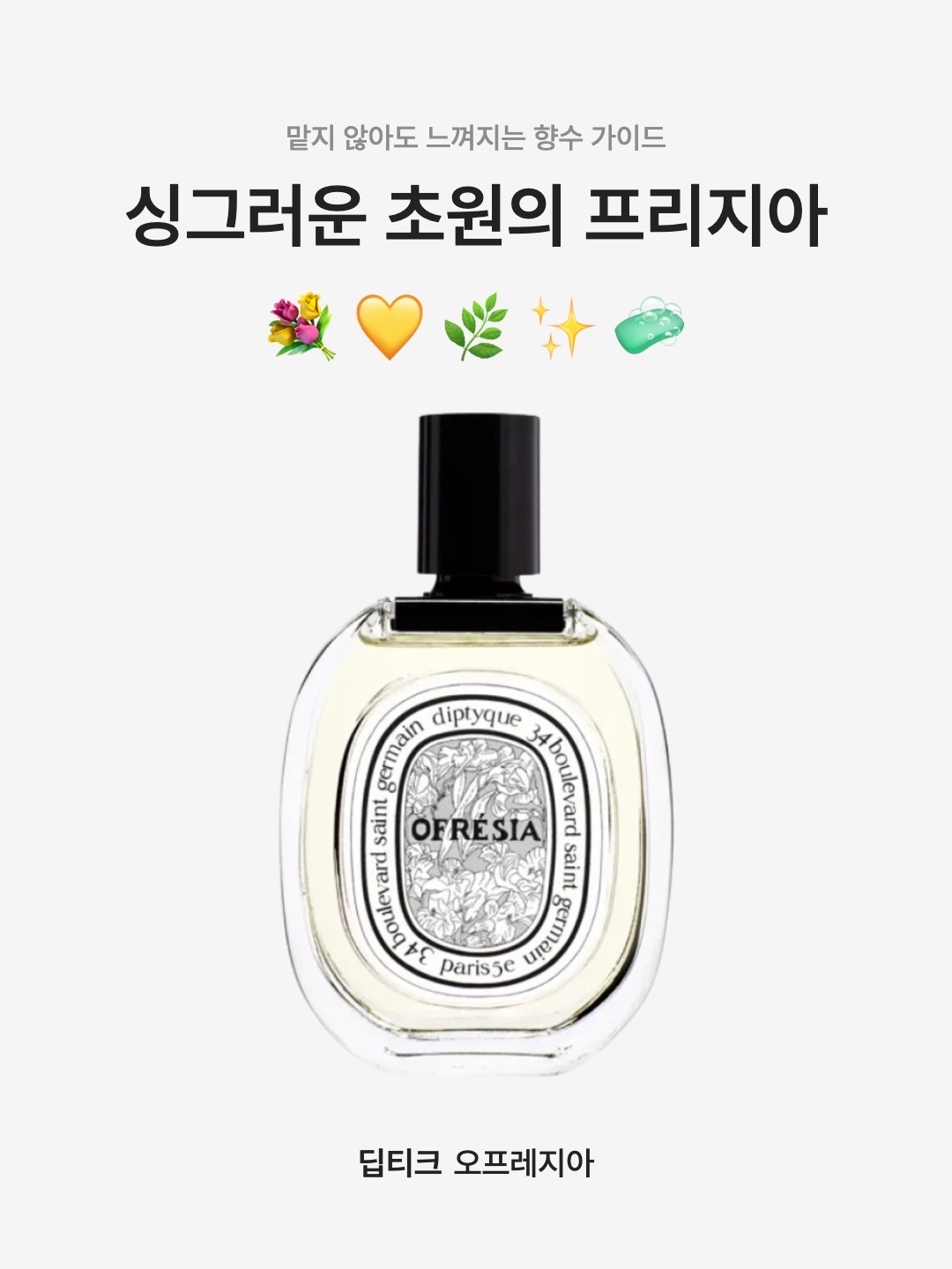 Diptyque Ofresia Eau De Toilette 100ml 착용 스타일 - 1