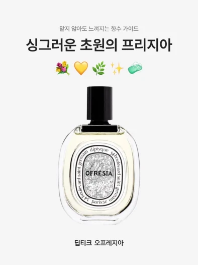 스타일 카드