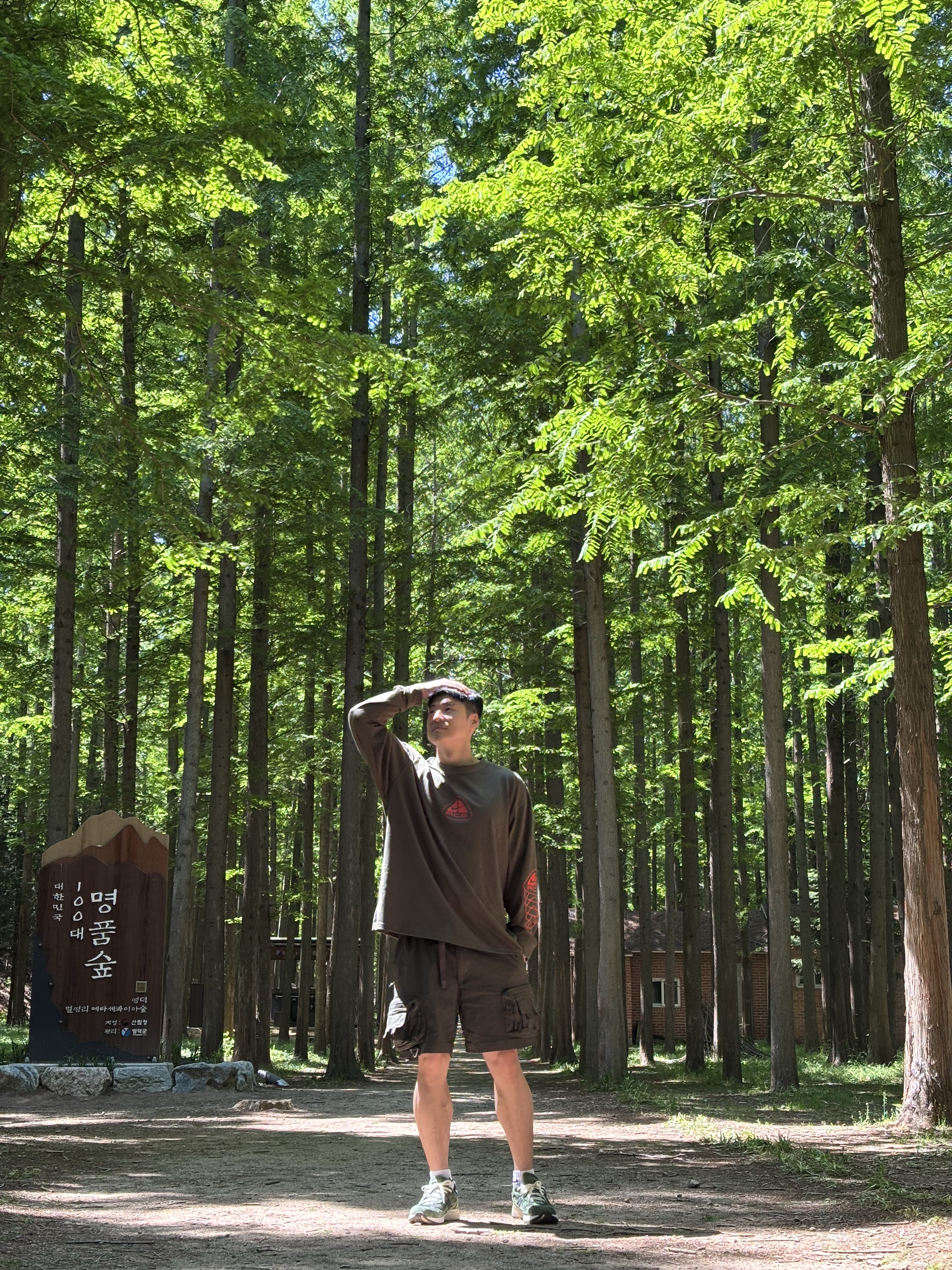 Nike NRG ACG Seasonal Lungs Long Sleeve T-Shirt Cargo Khaki - US/EU 착용 스타일