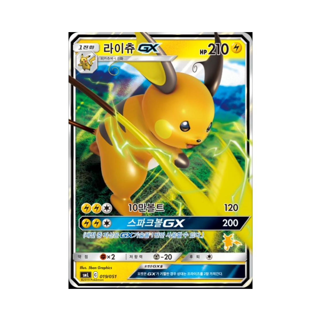 포켓몬 TCG 라이츄 GX 썬&문 패밀리 포켓몬 카드 게임 라이츄 GX 덱 (한글판)(Pokemon TCG Raichu GX Sun & Moon Family Pokemon Card Game Raichu GX Deck (Korean Ver.)) - 1