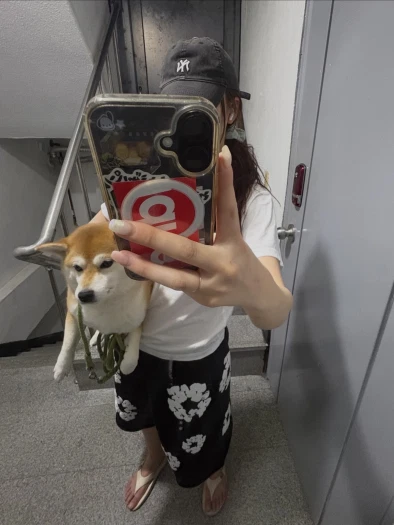 스타일 카드