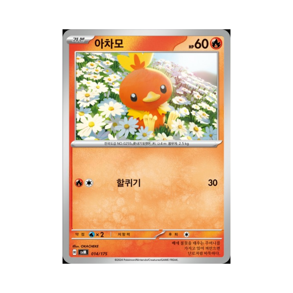 포켓몬 TCG 아차모 스칼렛&바이올렛 랜덤 스타터 덱 제너레이션 (한글판)(Pokemon TCG Torchic Scarlet & Violet Random Generations Starter Decks (Korean Ver.)) - 1