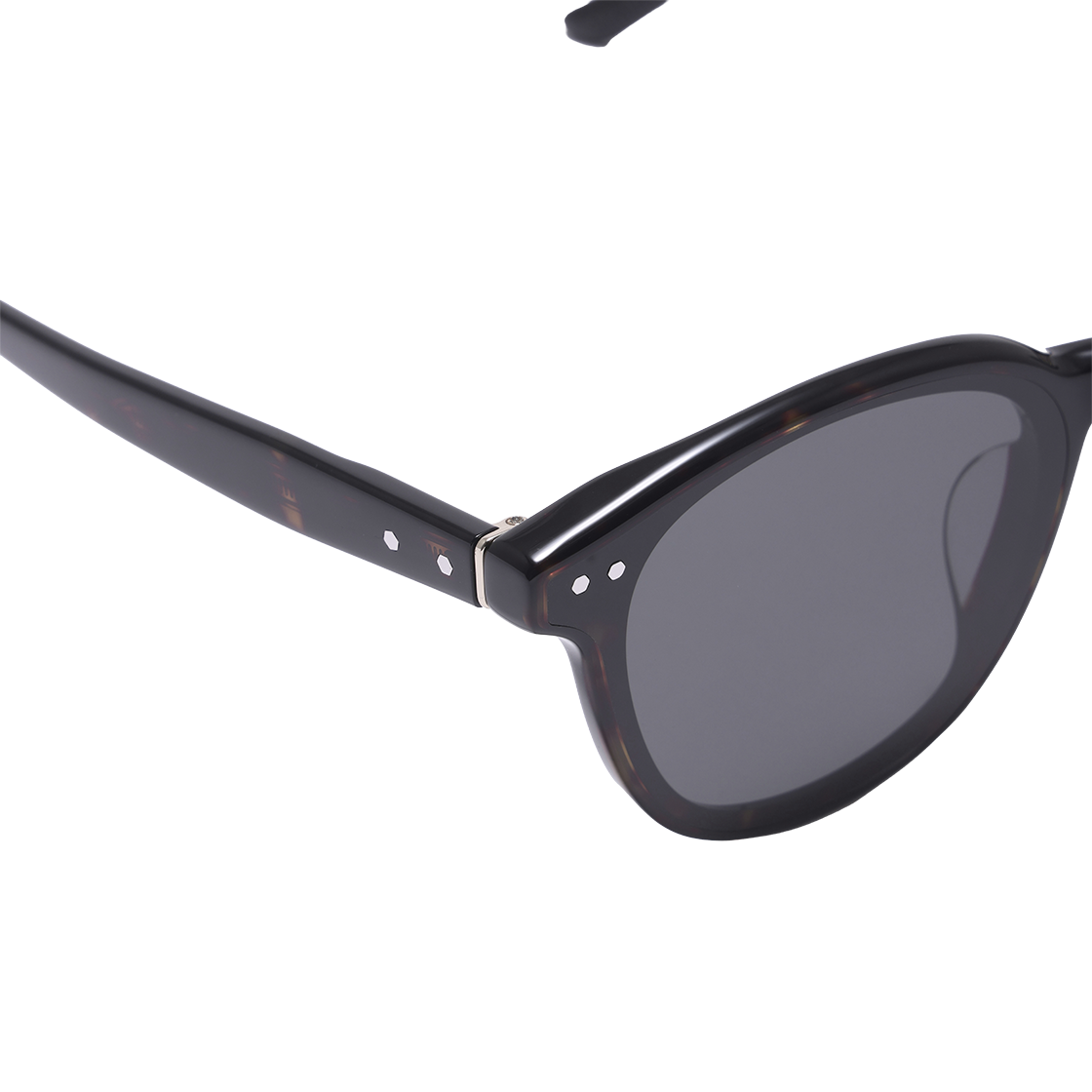 알로아이웨어 [SILVERBITE] SBS1604 1818G 플랫바 소프트 스퀘어 톨토이즈 선글라스(ALO EYEWEAR [SILVERBITE] SBS1604 1818G Flat Bar Soft Square Tortoise Sunglasses) - 4