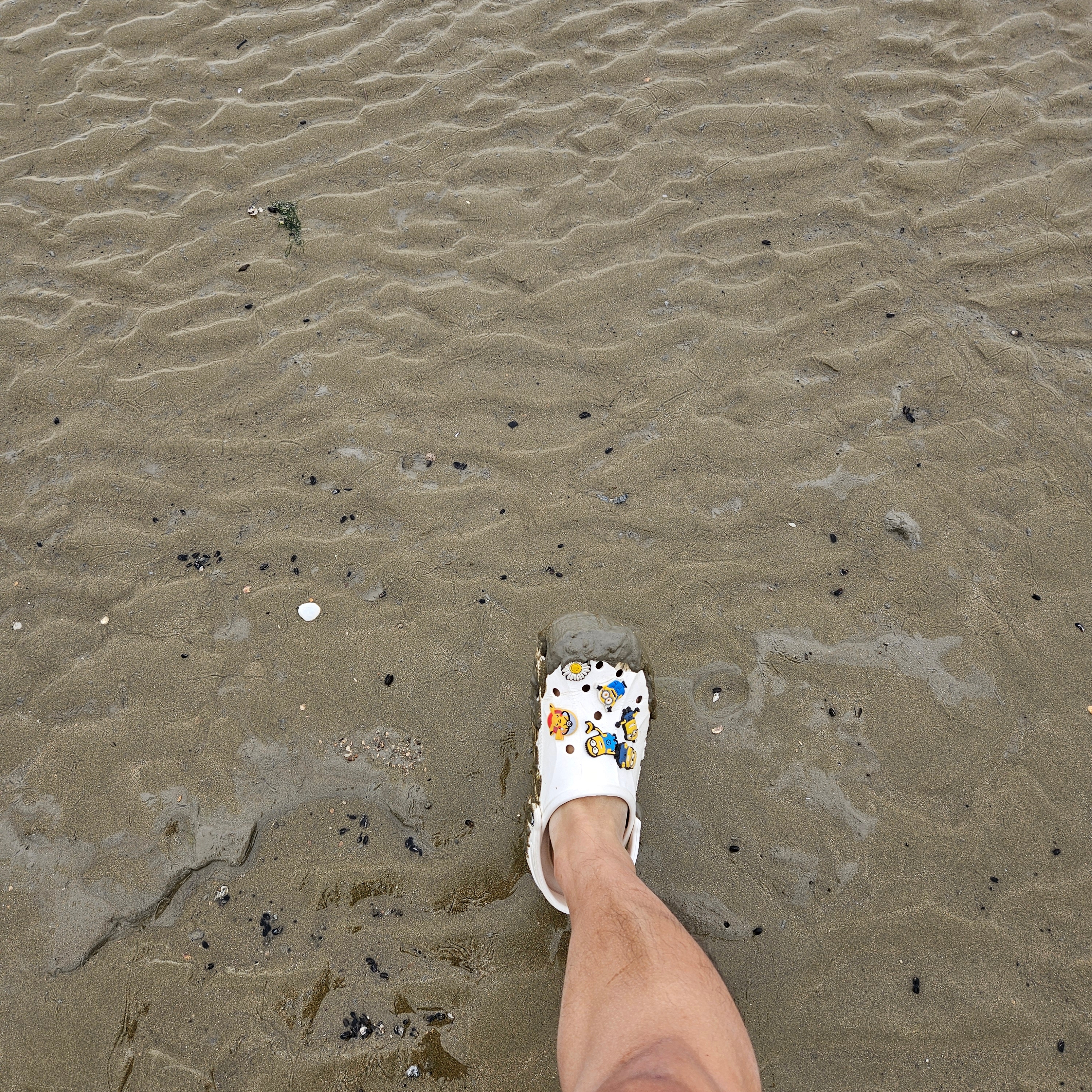 Crocs Classic Clog White 착용 스타일