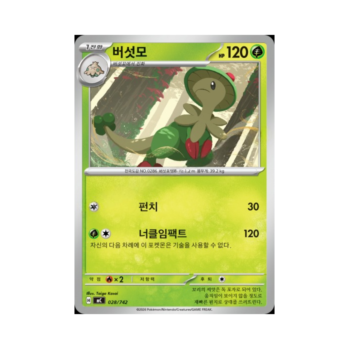 포켓몬 TCG 버섯모 MEGA 스타트 덱 100 배틀컬렉션 (한글판)(Pokemon TCG Breloom MEGA Start Deck 100 Battle Collection (Korean Ver.)) - 1