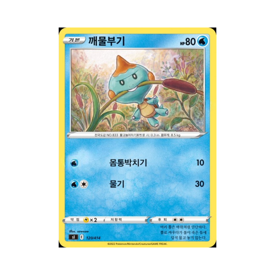 포켓몬 TCG 깨물부기 소드&실드 스타트 덱 100 (한글판)(Pokemon TCG Chewtle Sword & Shield Start Deck 100 (Korean Ver.))