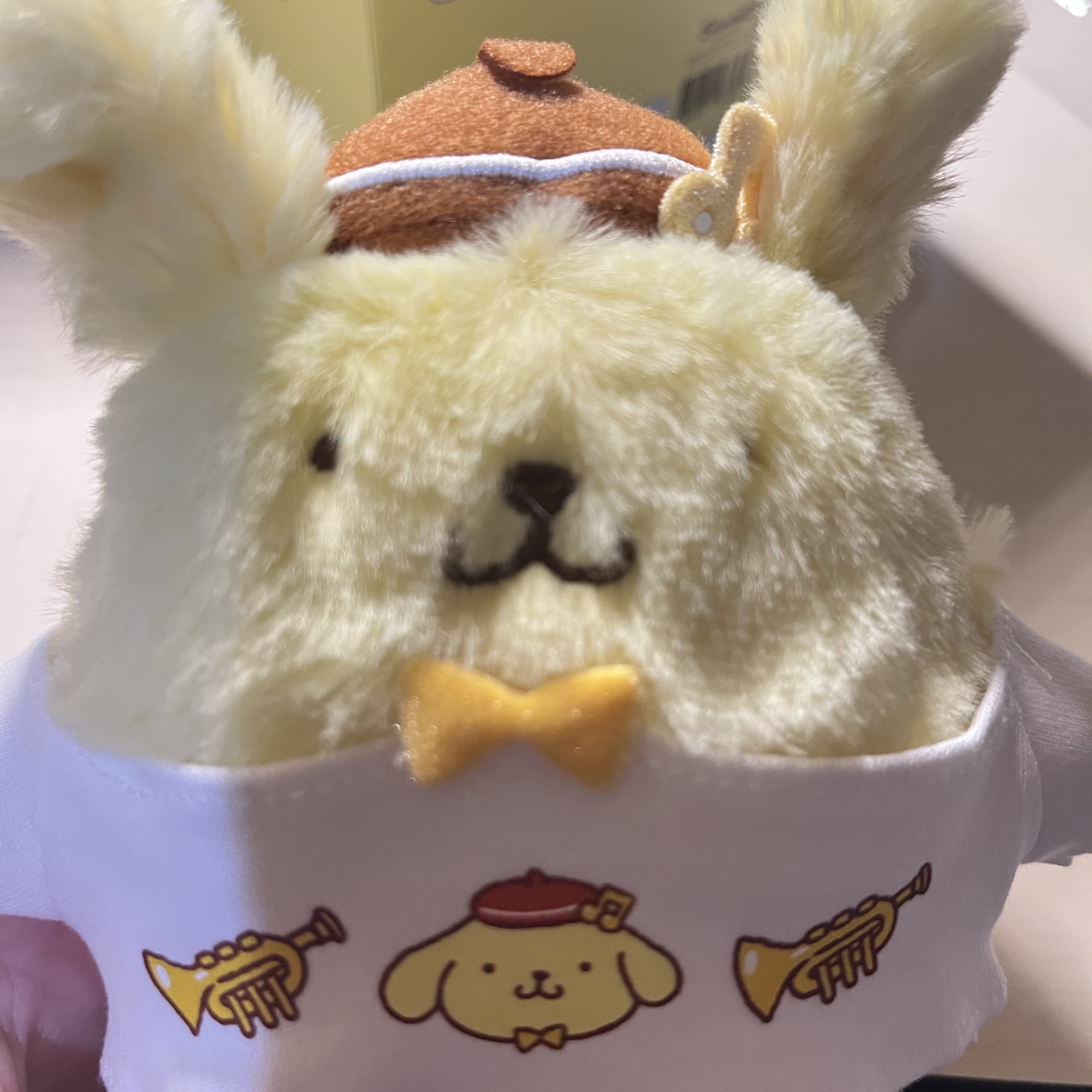 SJF X POMPOMPURIN PLUSH KEYCHAIN - YELLOW, SJF X POMPOMPURIN GYMSACK - YELLOW 착용 스타일 - 1
