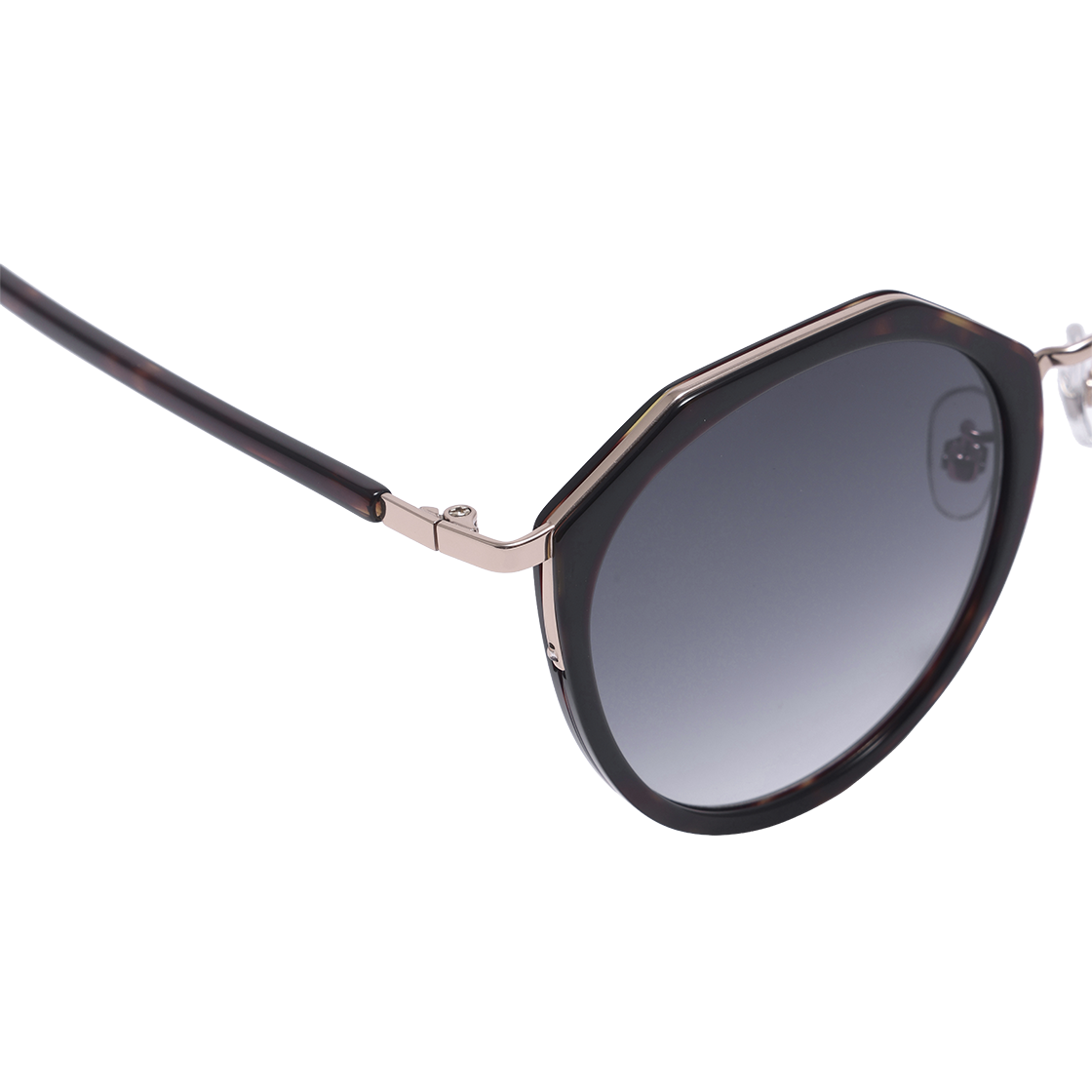 알로아이웨어 [SILVERBITE] SBS4601 1824G 마가렛 솔텍스 톨토이즈 선글라스(ALO EYEWEAR [SILVERBITE] SBS4601 1824G Margaret Soltex Tortoise Sunglasses) - 4