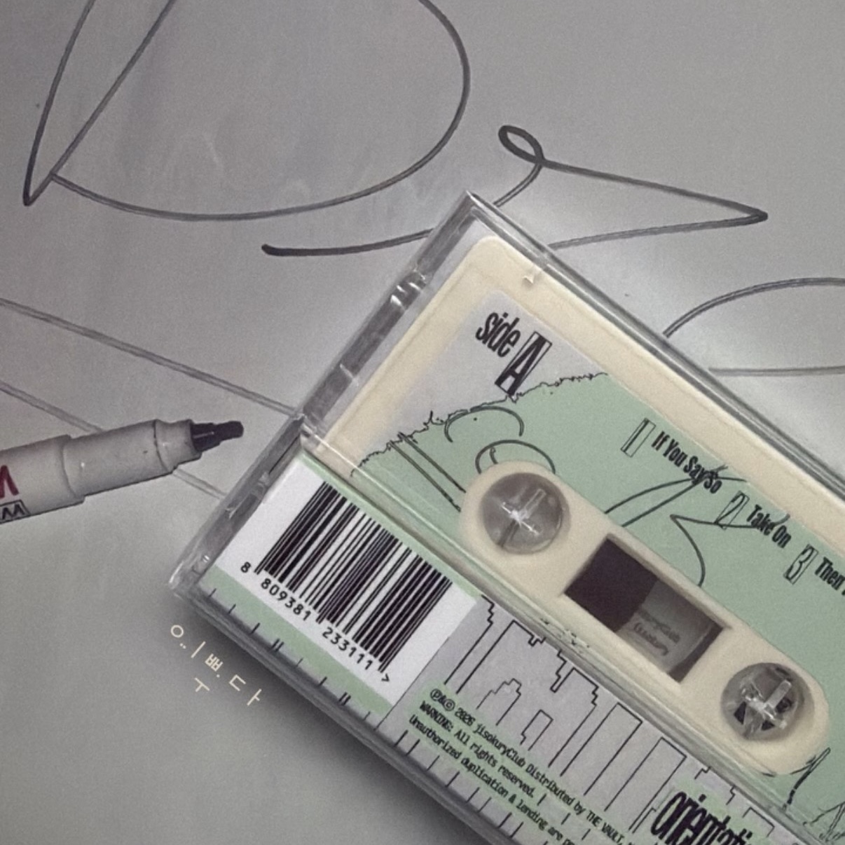 Orientation with LIVE [Cassette] 착용 스타일
