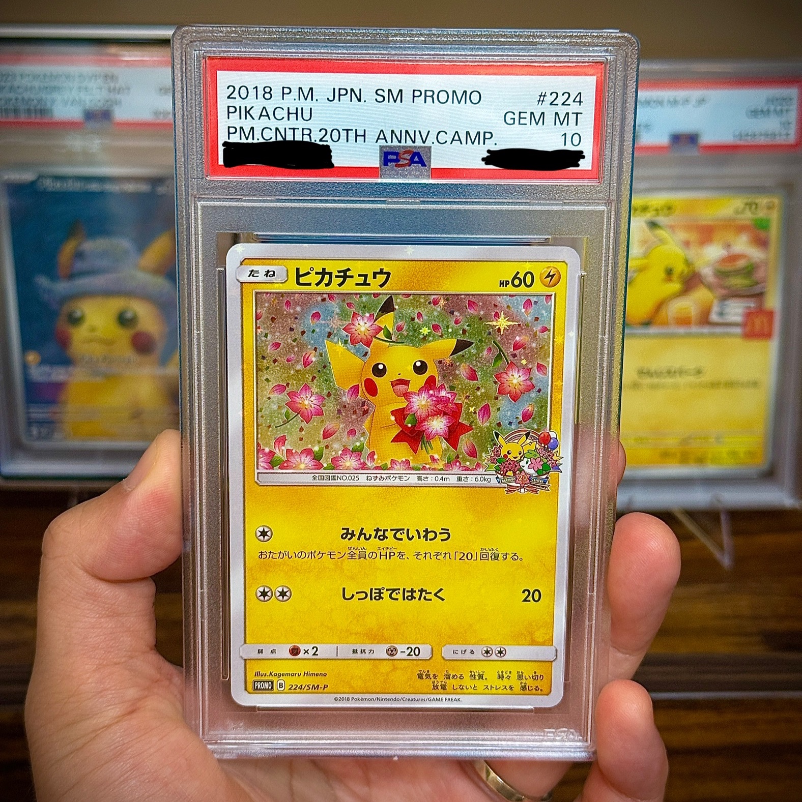 Pokemon TCG Pikachu P Sun & Moon Promos (Japanese Ver.) 착용 스타일