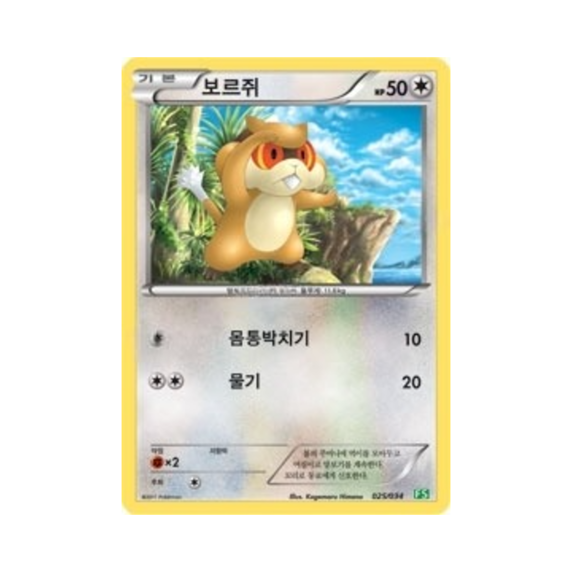 포켓몬 TCG 보르쥐 BW 퍼스트 세트 풀의 진화 (한글판)(Pokemon TCG Patrat BW First Set Evolution of Grass (Korean Ver.))