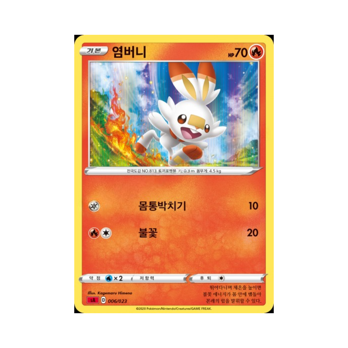 포켓몬 TCG 염버니 소드&실드 스타터 세트 V 불꽃 (한글판)(Pokemon TCG Scorbunny Sword & Shield Fire Starter Set V (Korean Ver.)) - 1