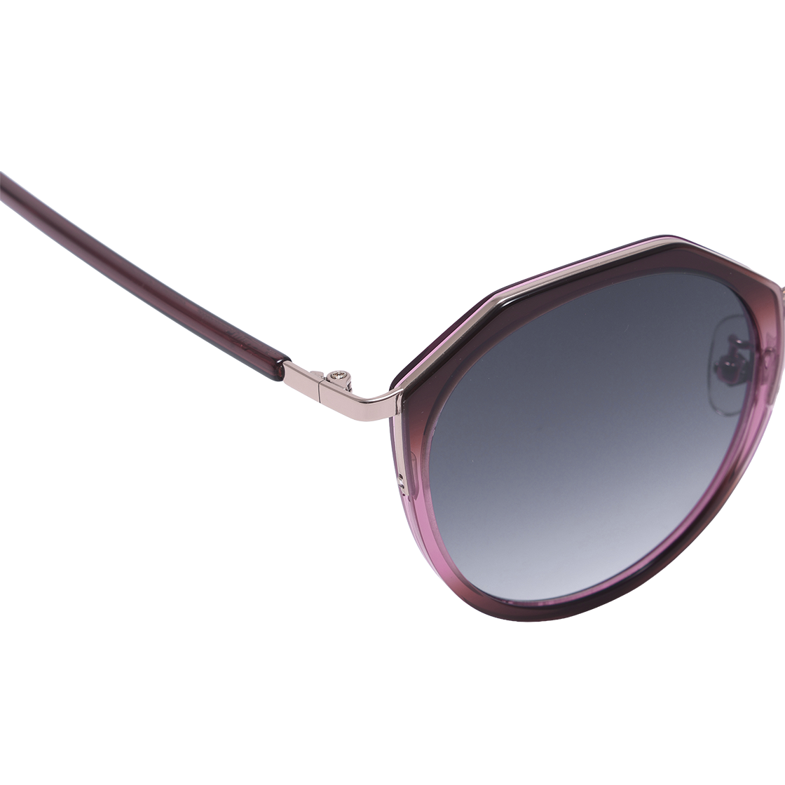 알로아이웨어 [SILVERBITE] SBS4601 2324G 마가렛 솔텍스 와인 선글라스(ALO EYEWEAR [SILVERBITE] SBS4601 2324G Margaret Soltex Wine Sunglasses) - 4