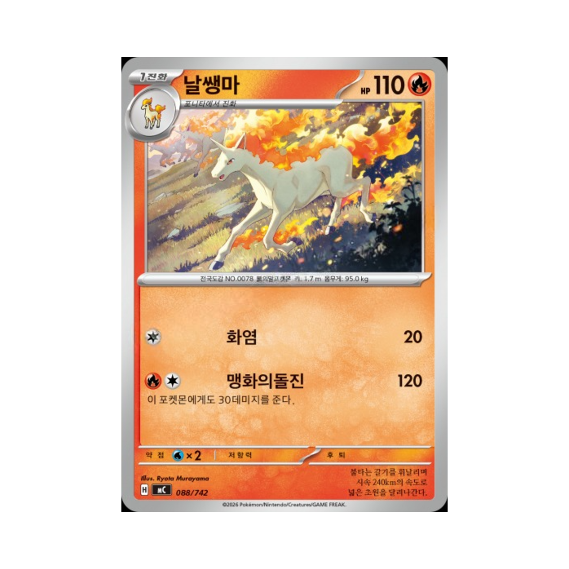 포켓몬 TCG 날쌩마 MEGA 스타트 덱 100 배틀컬렉션 (한글판)(Pokemon TCG Rapidash MEGA Start Deck 100 Battle Collection (Korean Ver.))