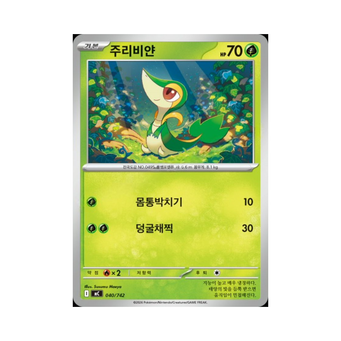 포켓몬 TCG 주리비얀 MEGA 스타트 덱 100 배틀컬렉션 (한글판)(Pokemon TCG Snivy MEGA Start Deck 100 Battle Collection (Korean Ver.)) - 1