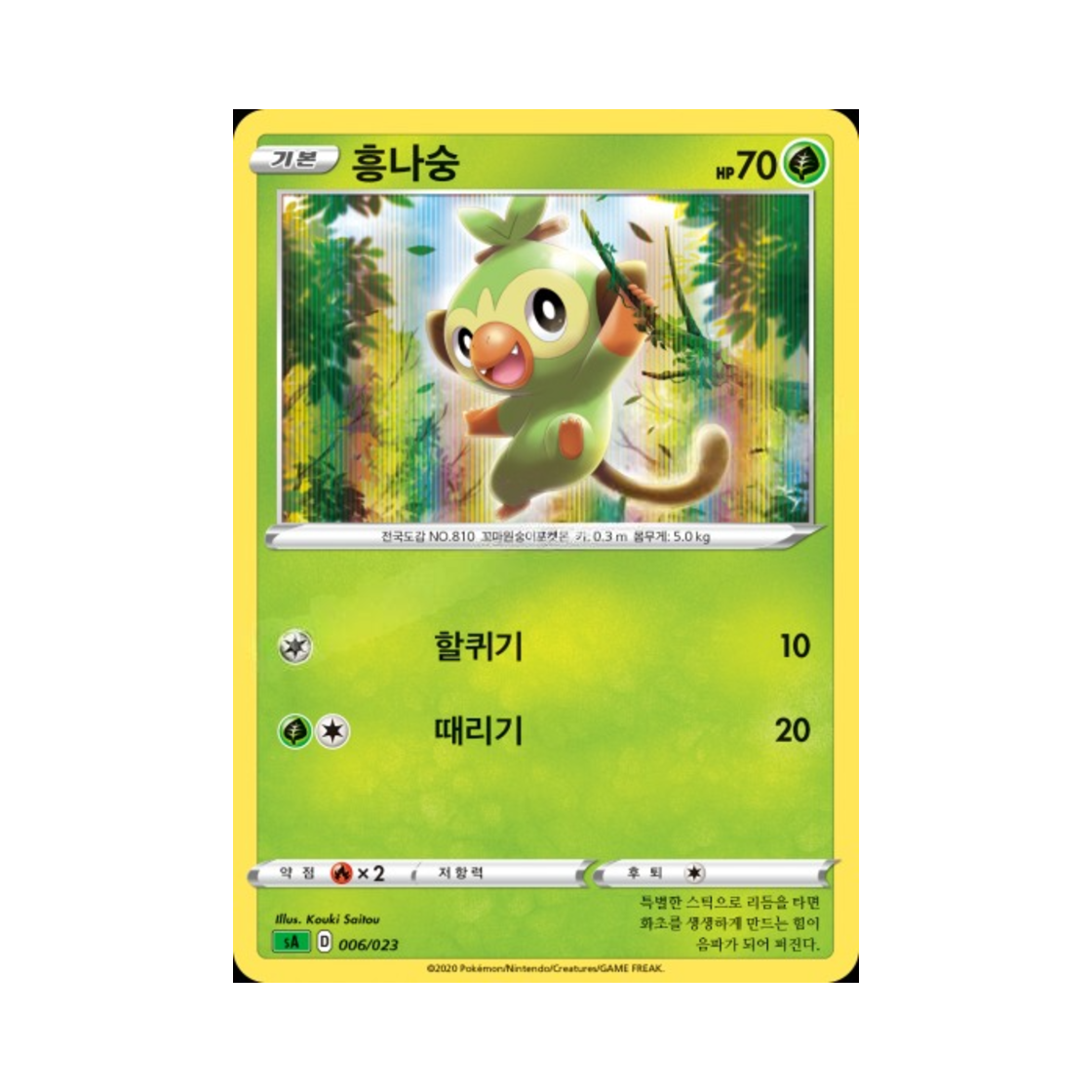 포켓몬 TCG 흥나숭 소드&실드 스타터 세트 V 풀 (한글판)(Pokemon TCG Grookey Sword & Shield Grass Starter Set V (Korean Ver.)) - 1