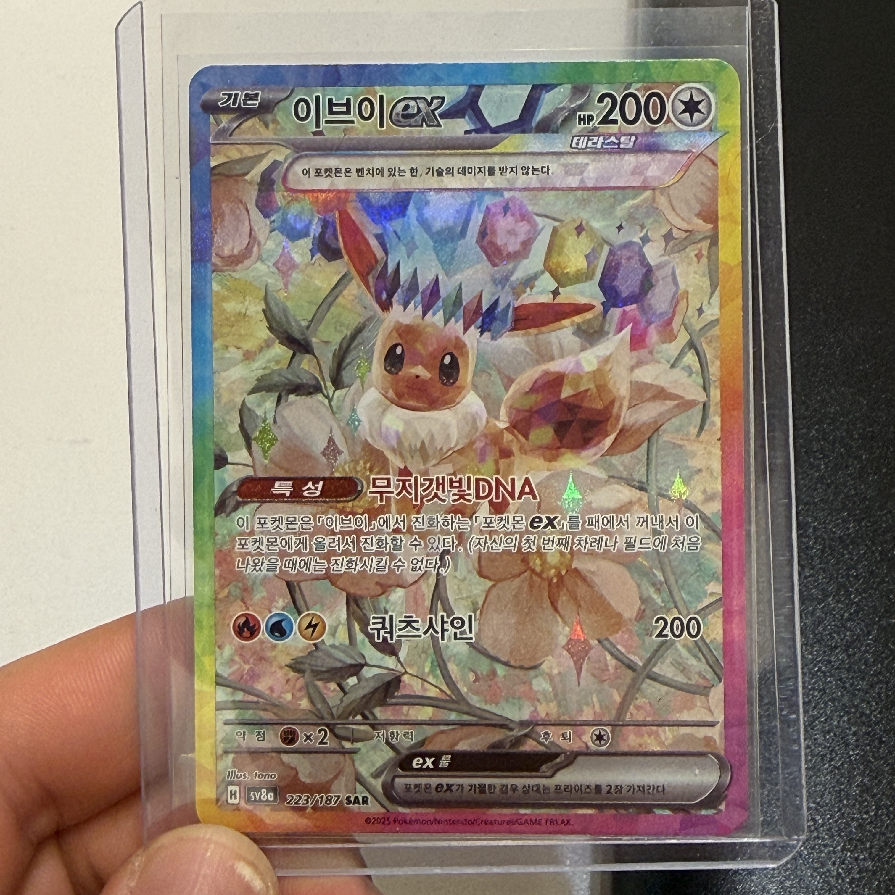 Pokemon TCG Scarlet & Violet High Class Pack Terastal Festival EX Box (Pack of 10) 착용 스타일