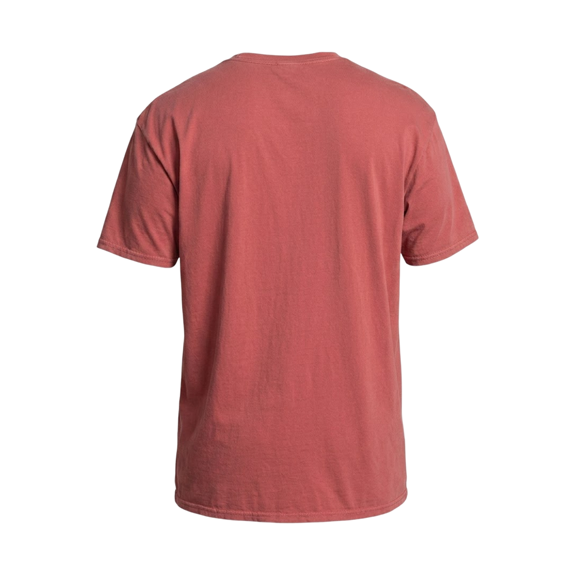 포켓몬 파슬 뮤지엄 스켈레톤 티셔츠 레드(Pokemon Fossil Museum Skeletons T-Shirt Red) - 2