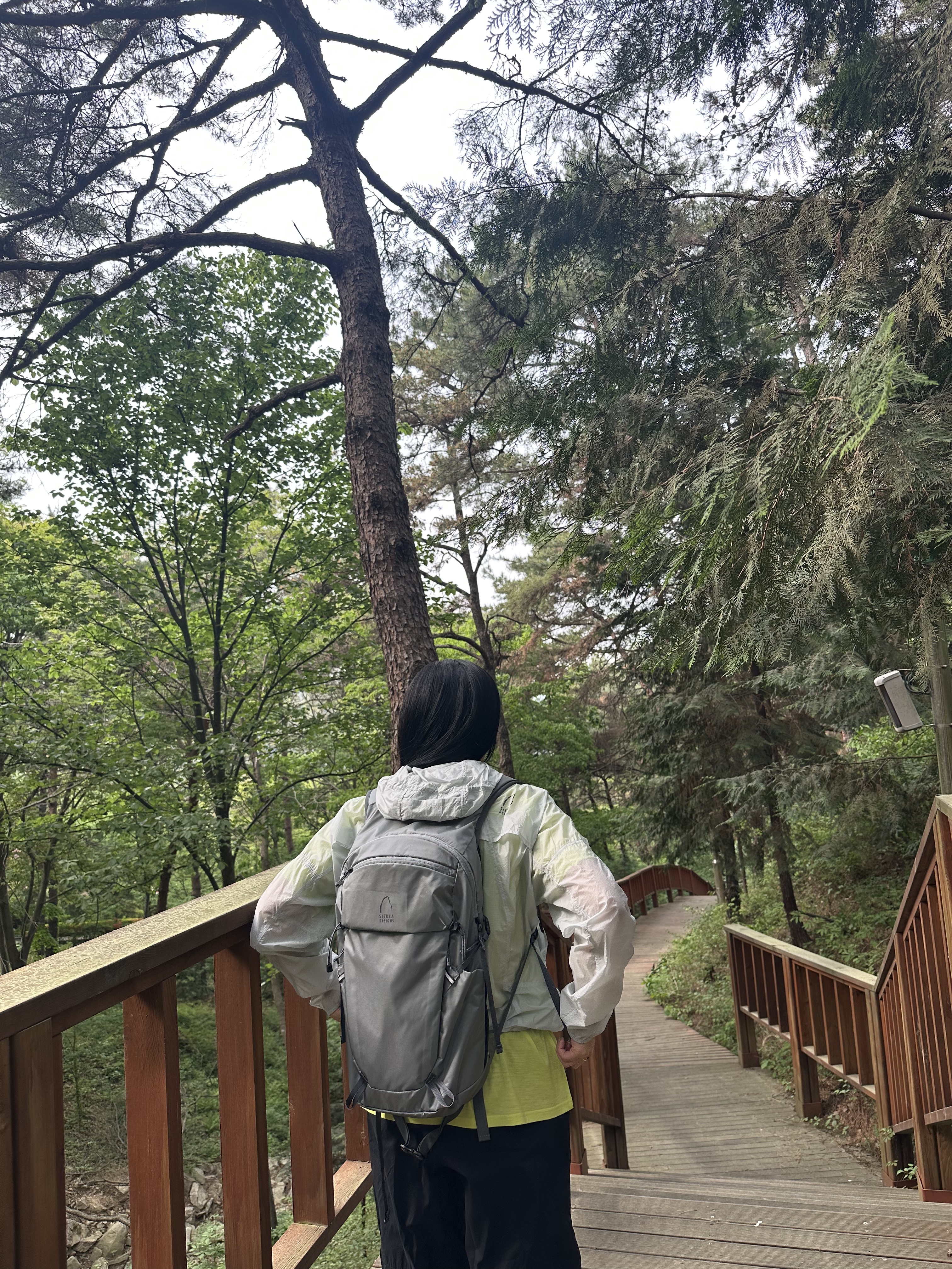 SIERRADESIGNS TENAYAPACK 25L Light Grey, SIERRADESIGNS TENAYAPACK 25L Black 착용 스타일 - 1