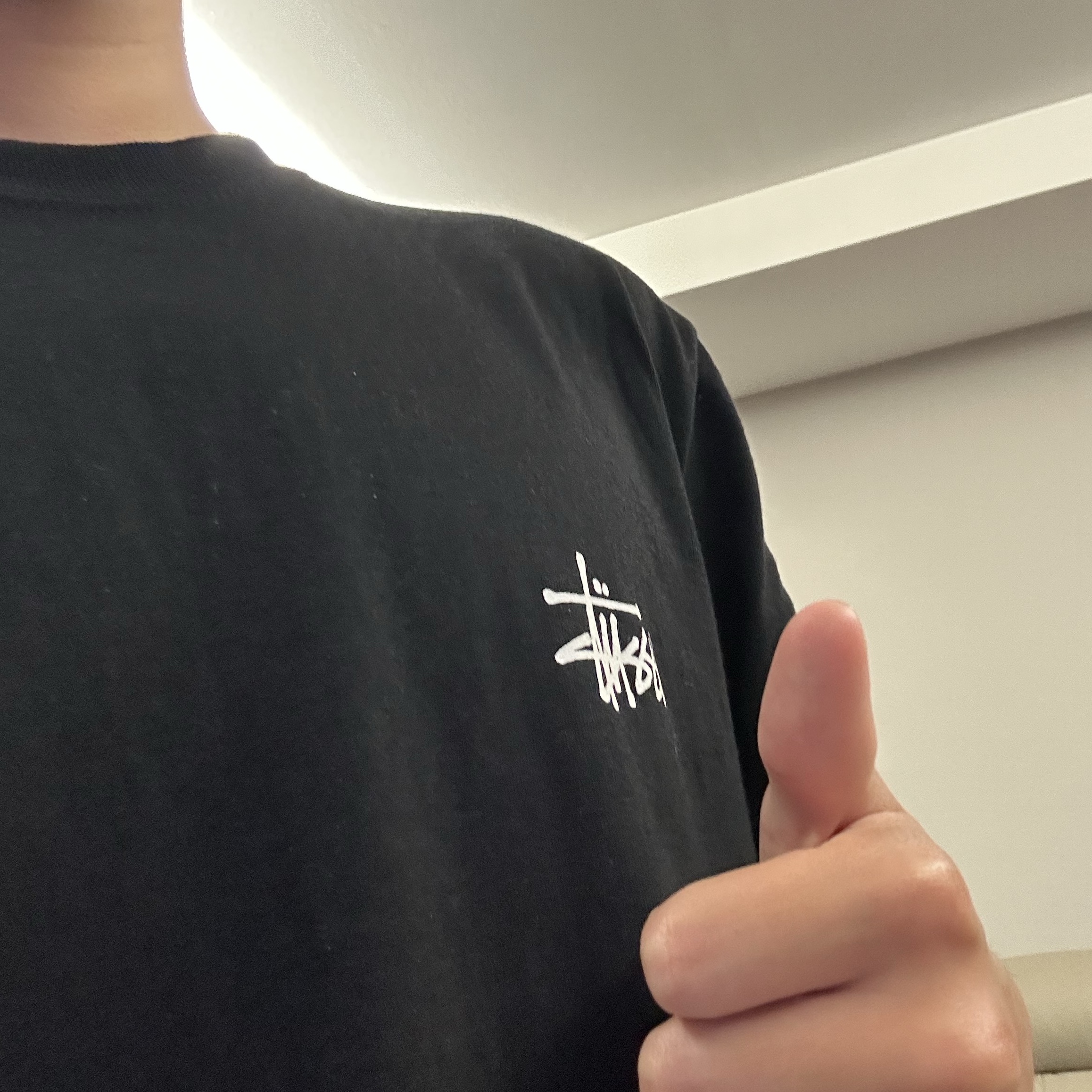 Stussy Basic Stussy T-Shirt Black 2024, 2025 착용 스타일