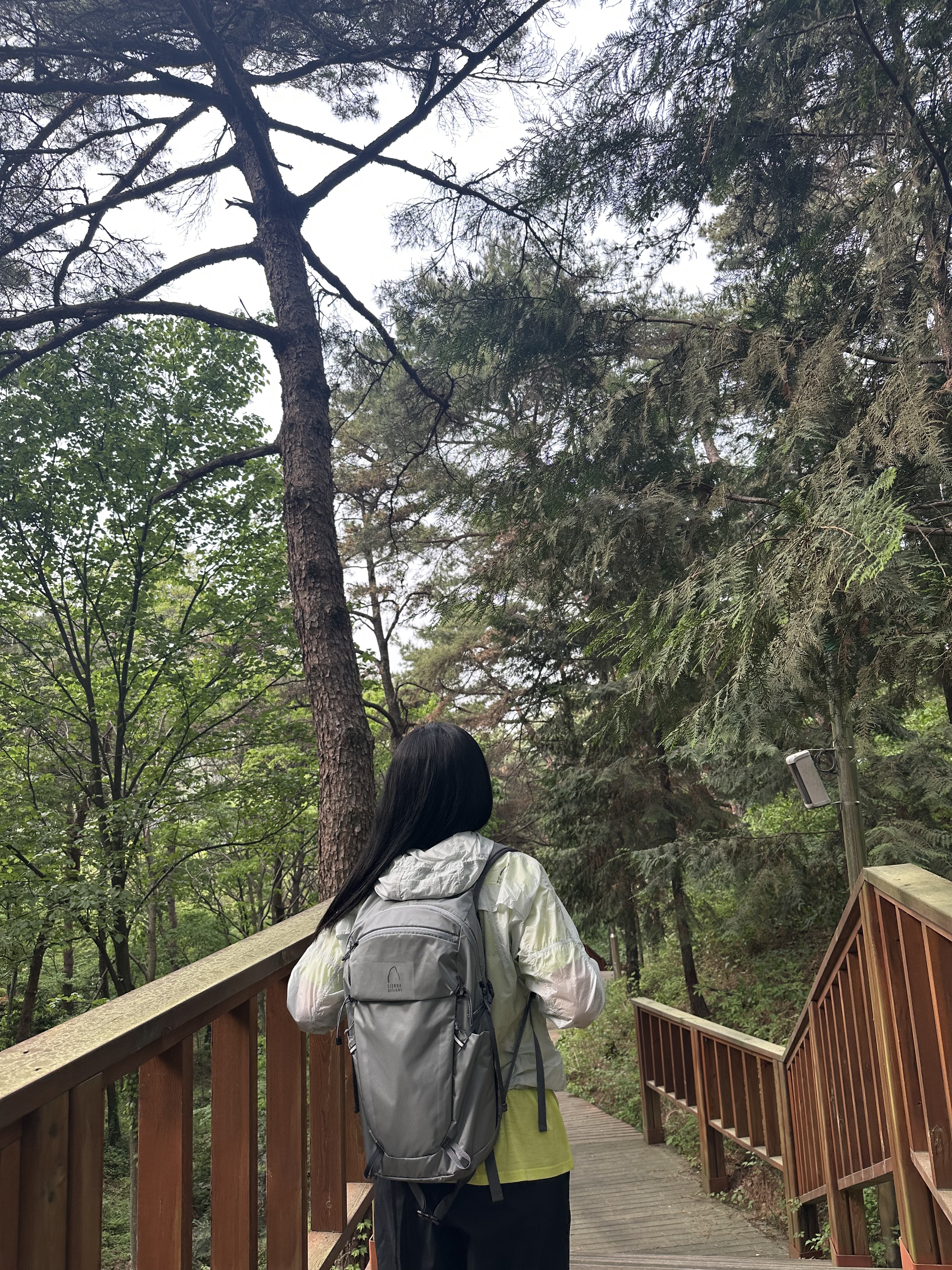 SIERRADESIGNS TENAYAPACK 25L Light Grey, SIERRADESIGNS TENAYAPACK 25L Black 착용 스타일 - 2