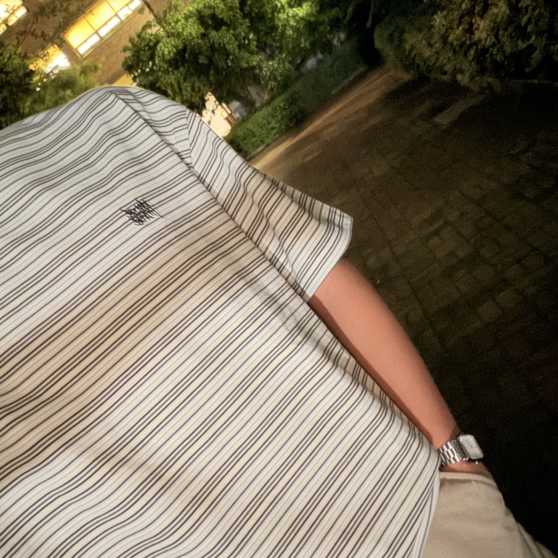 Brownbreath Tag Heavy Stripe T-Shirt Green, Supreme Chino Pant Tan - 26SS 착용 스타일