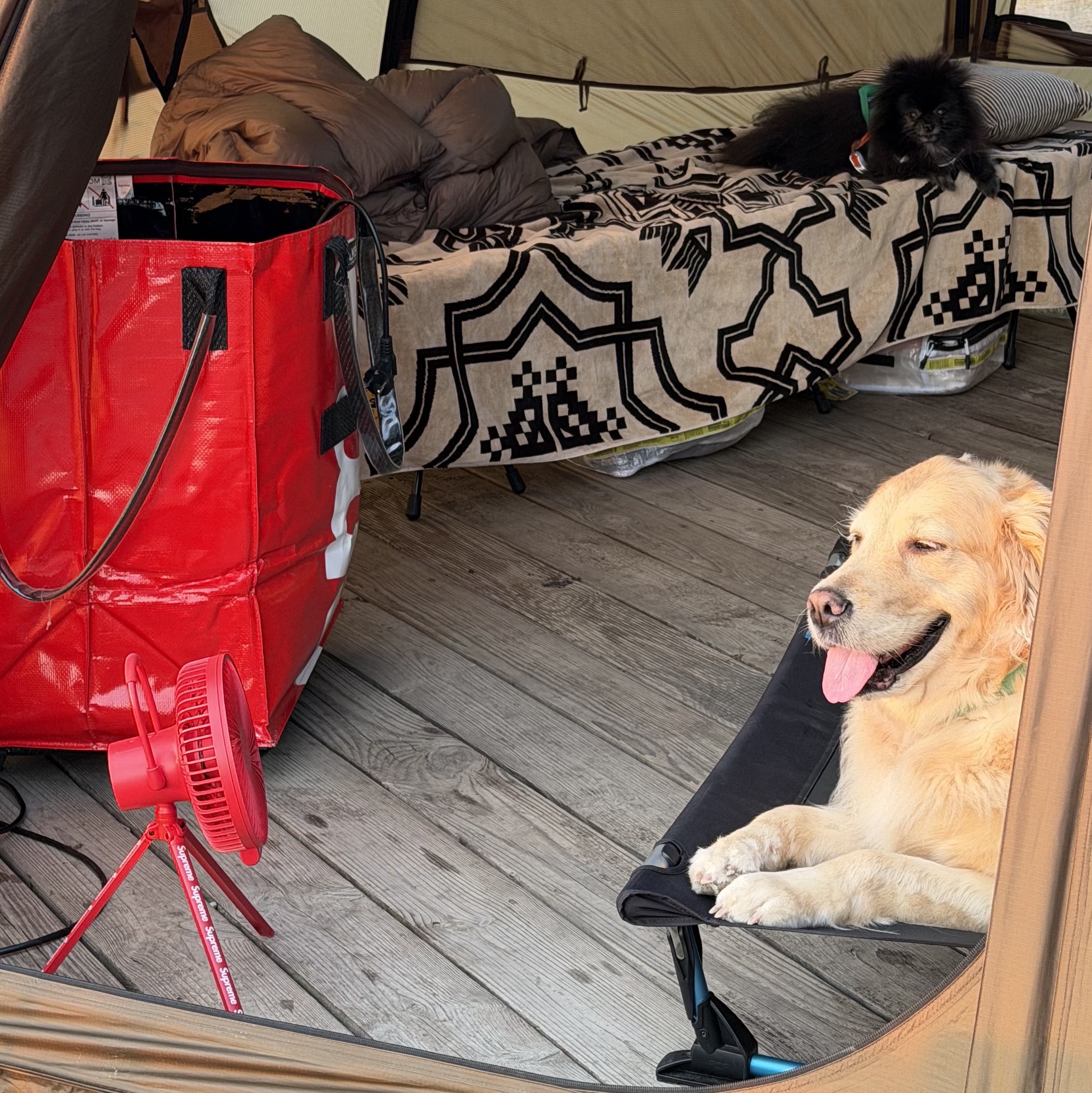 Helinox Elevated Dog Cot L Black, Supreme x Hulken Rolling Tote Bag Red - 24FW 착용 스타일