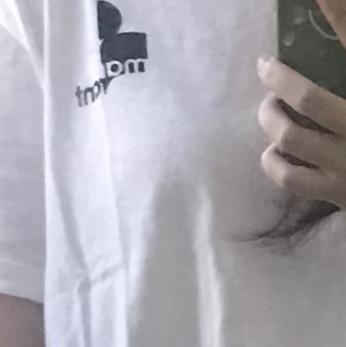 Isabel Marant Zafferh T-Shirt White - 24SS 착용 스타일