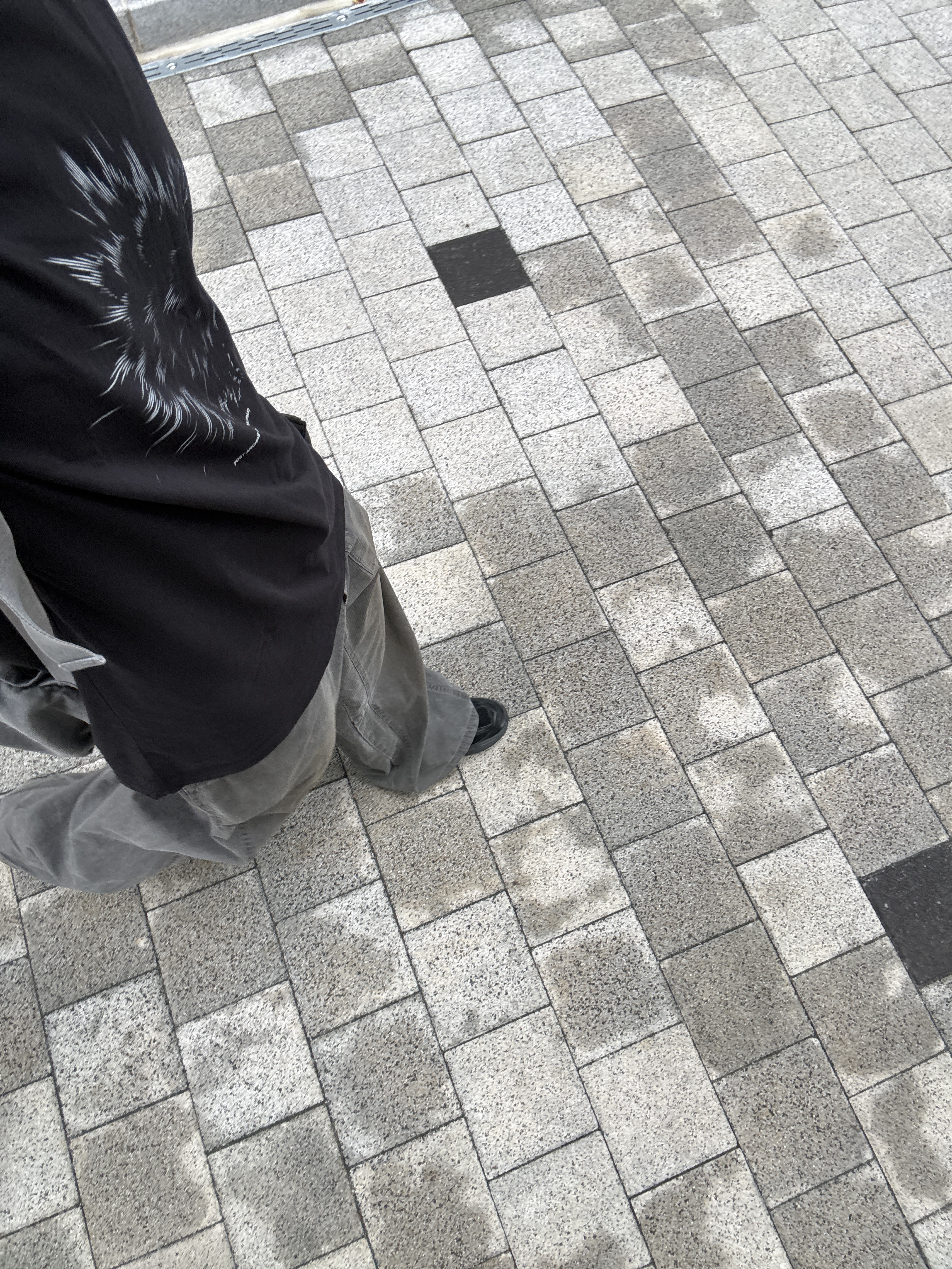 Polyteru Para Pants (Baker Pants) Faded Striped Dirty Gray, Hoka x Xlim Mafate Speed 2 TS Black Charcoal 착용 스타일
