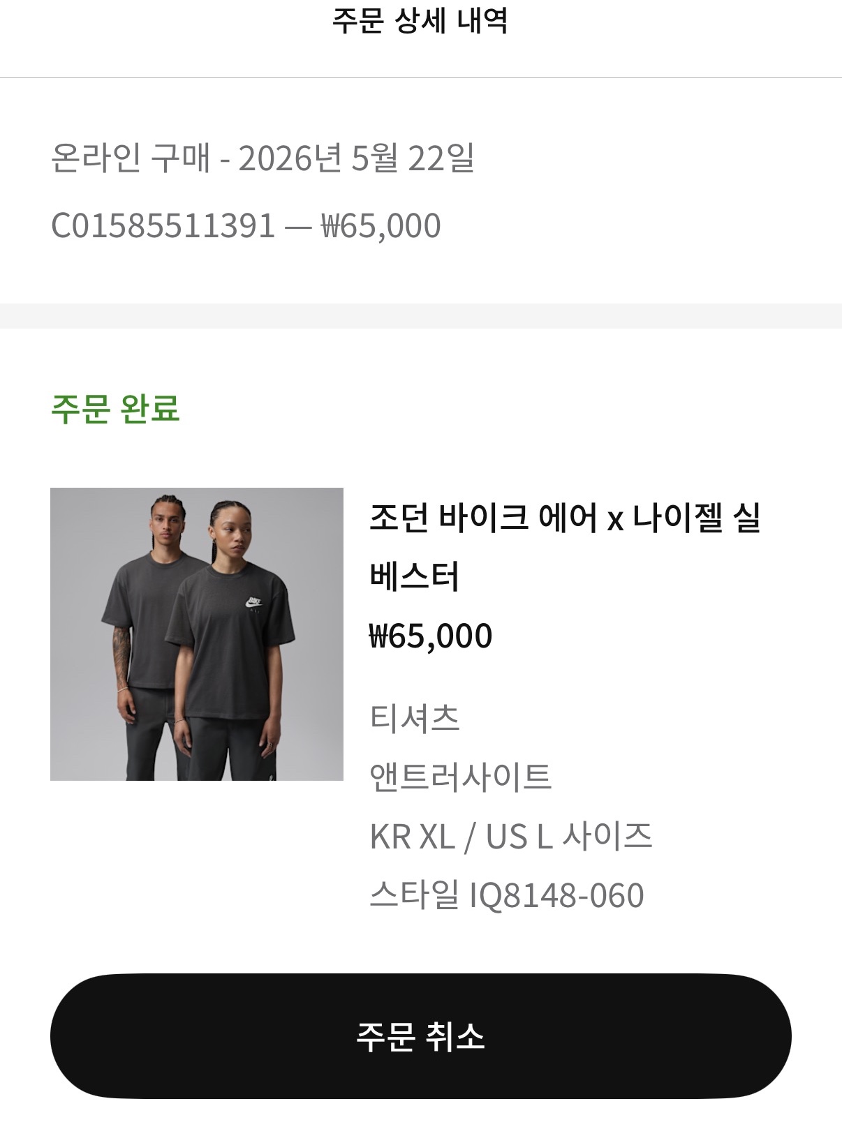 Jordan x Nigel Sylvester T-Shirt Sail (IQ8148-133), Jordan x Nigel Sylvester T-Shirt Anthracite (IQ8148-060) 착용 스타일 - 2