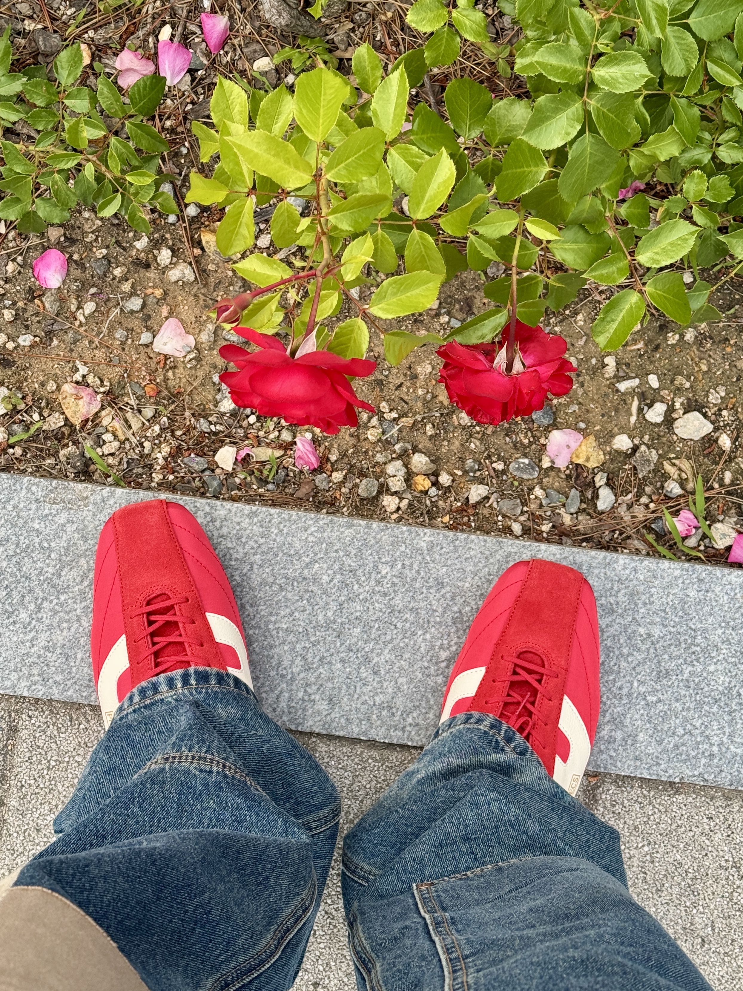 PRO-SPECS NOVA Red, Stussy x Denim Tears Annie Lee T-Shirt White 착용 스타일 - 5