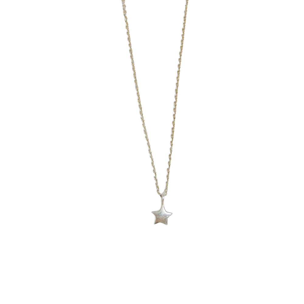 오브제213 스몰스타 넥클리스(OBJET213 Small star necklace (silver 925))