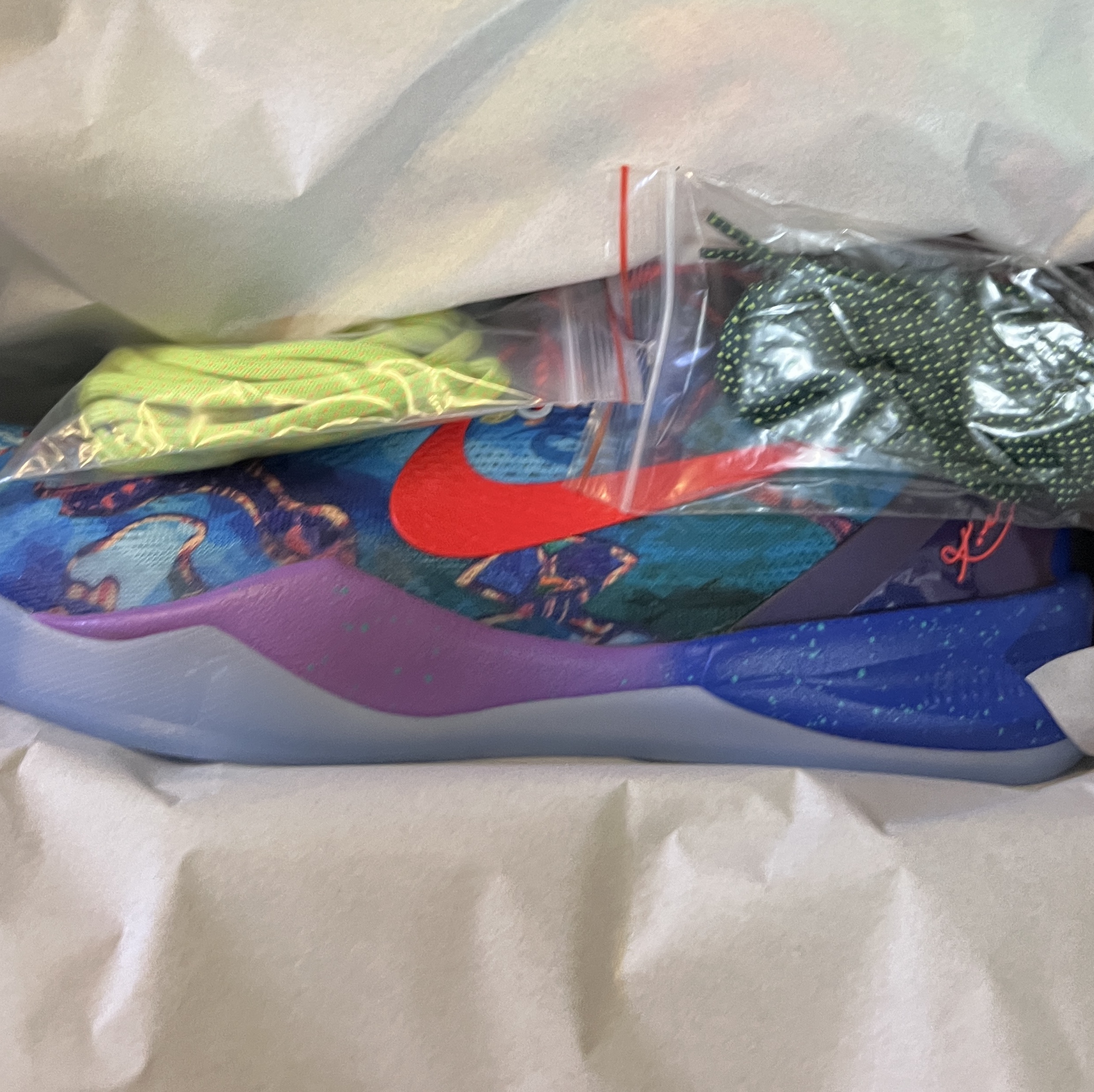 Nike Kobe 8 Protro What the Kobe 착용 스타일