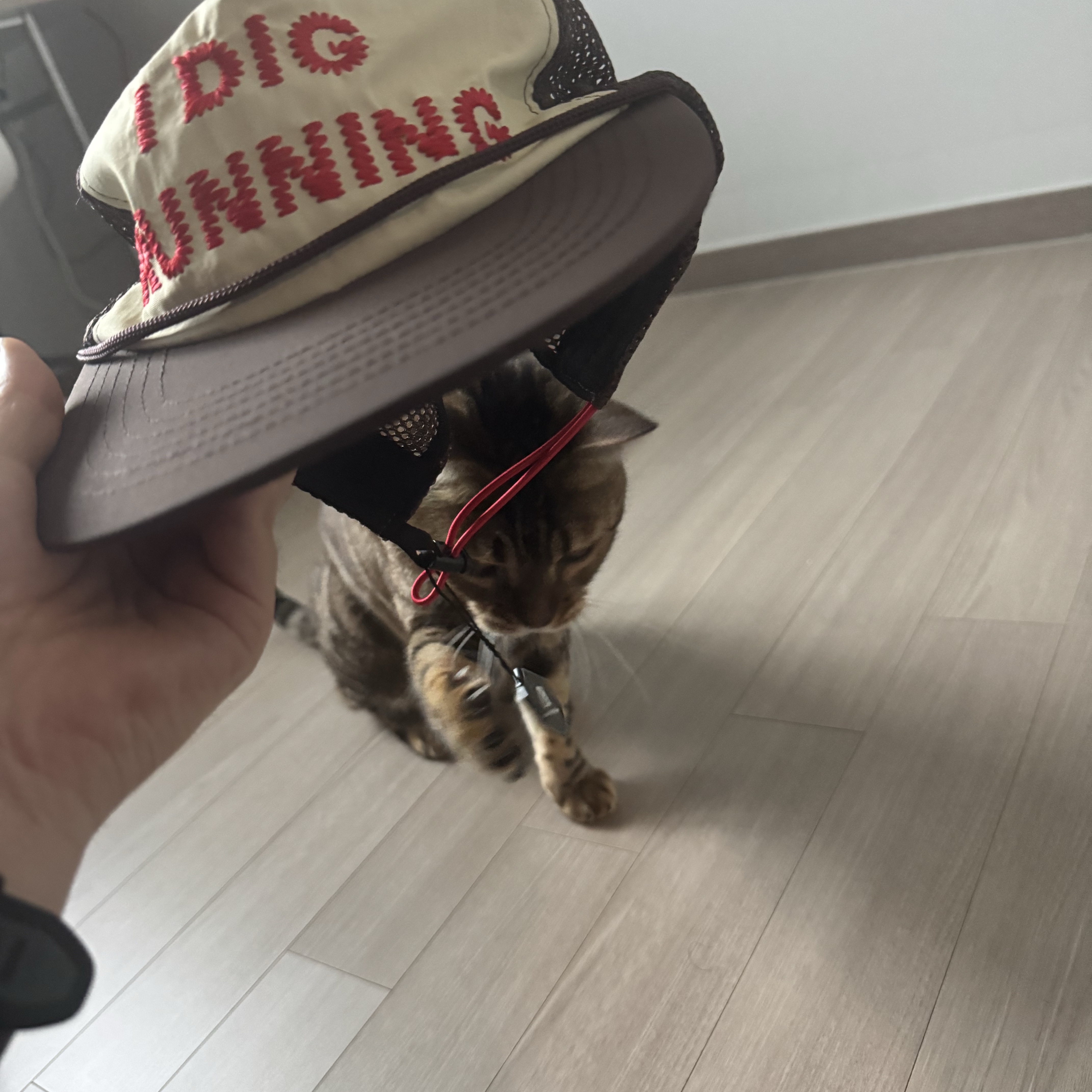 Alex Zono I Dig Running Trucker Hat OG Brown 착용 스타일