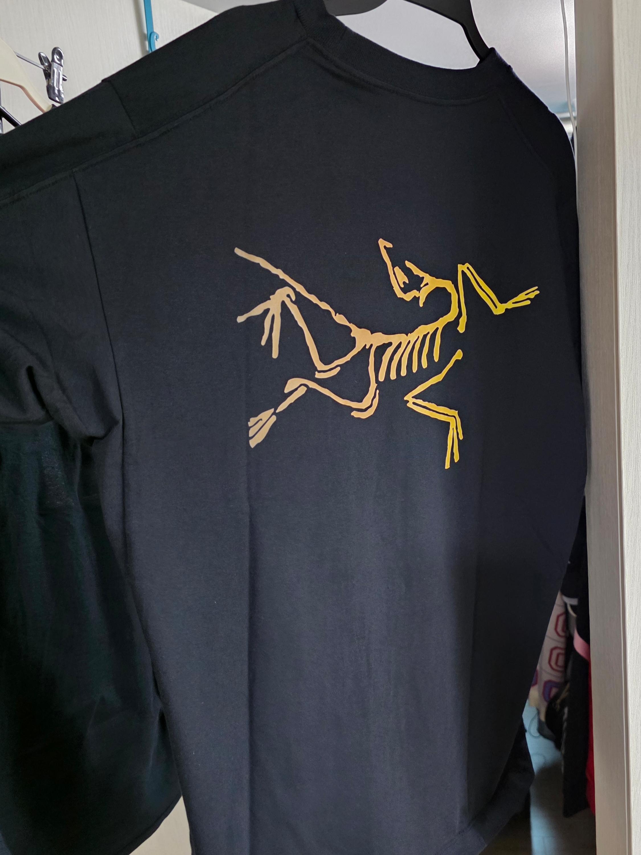 Arc'teryx Kragg Cotton Logo SS T-Shirt 24K Black 착용 스타일 - 2