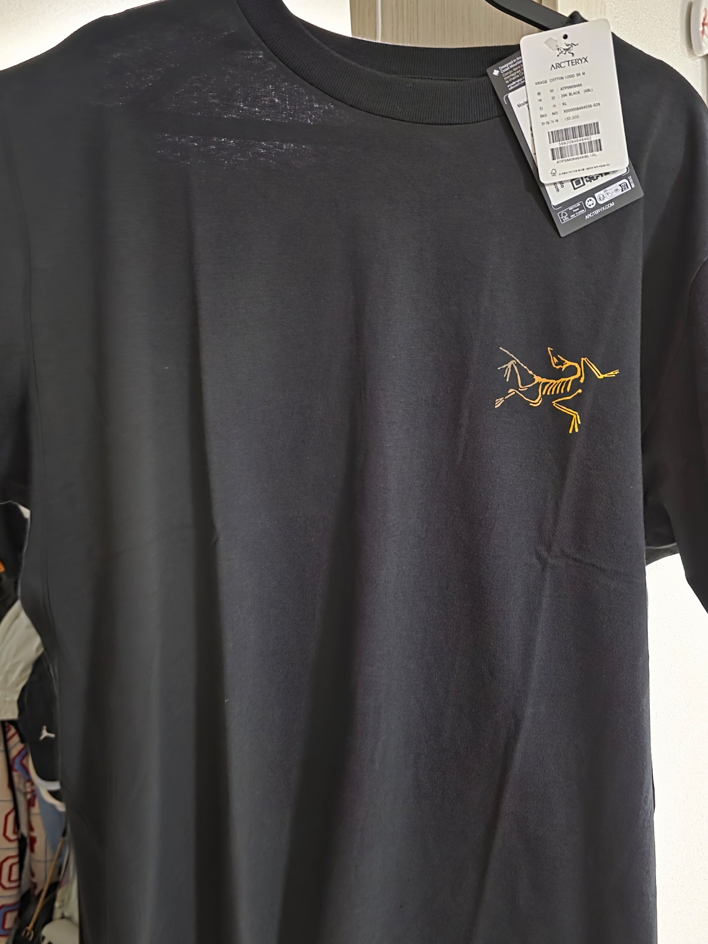 Arc'teryx Kragg Cotton Logo SS T-Shirt 24K Black 착용 스타일 - 1