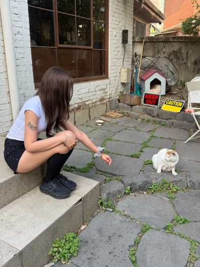 스타일 카드