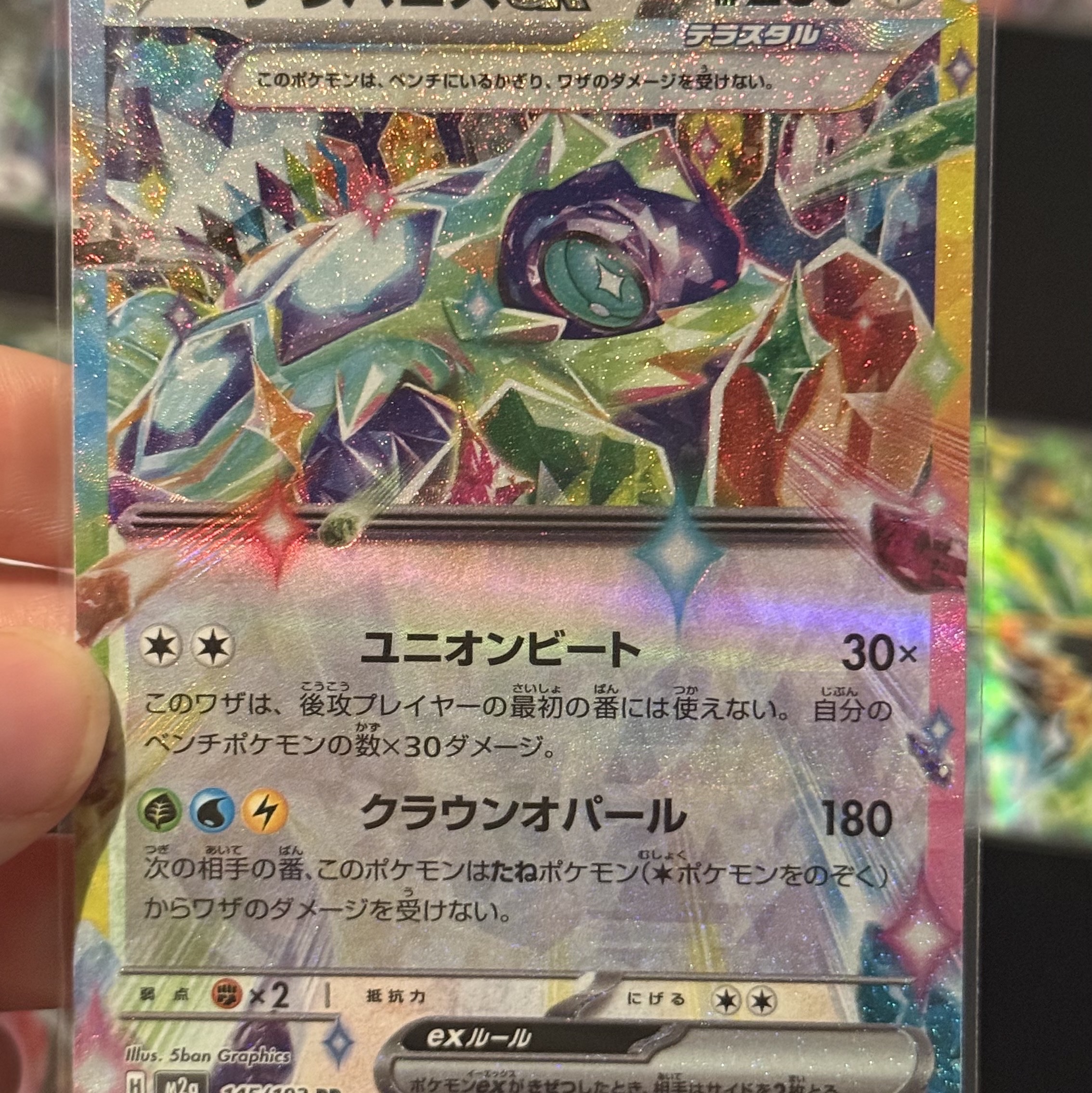 Pokemon TCG Terapagos ex RR Mega Dream ex (Japanese Ver.) 착용 스타일