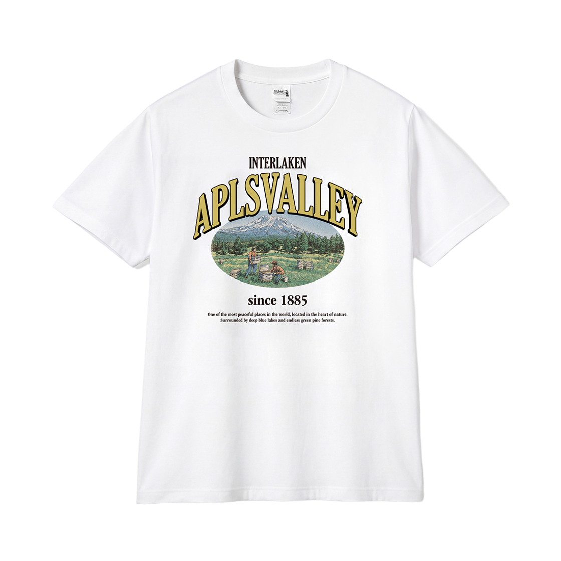 길단 X 빈티지 컬렉션 APLSVALLEY 티셔츠 화이트