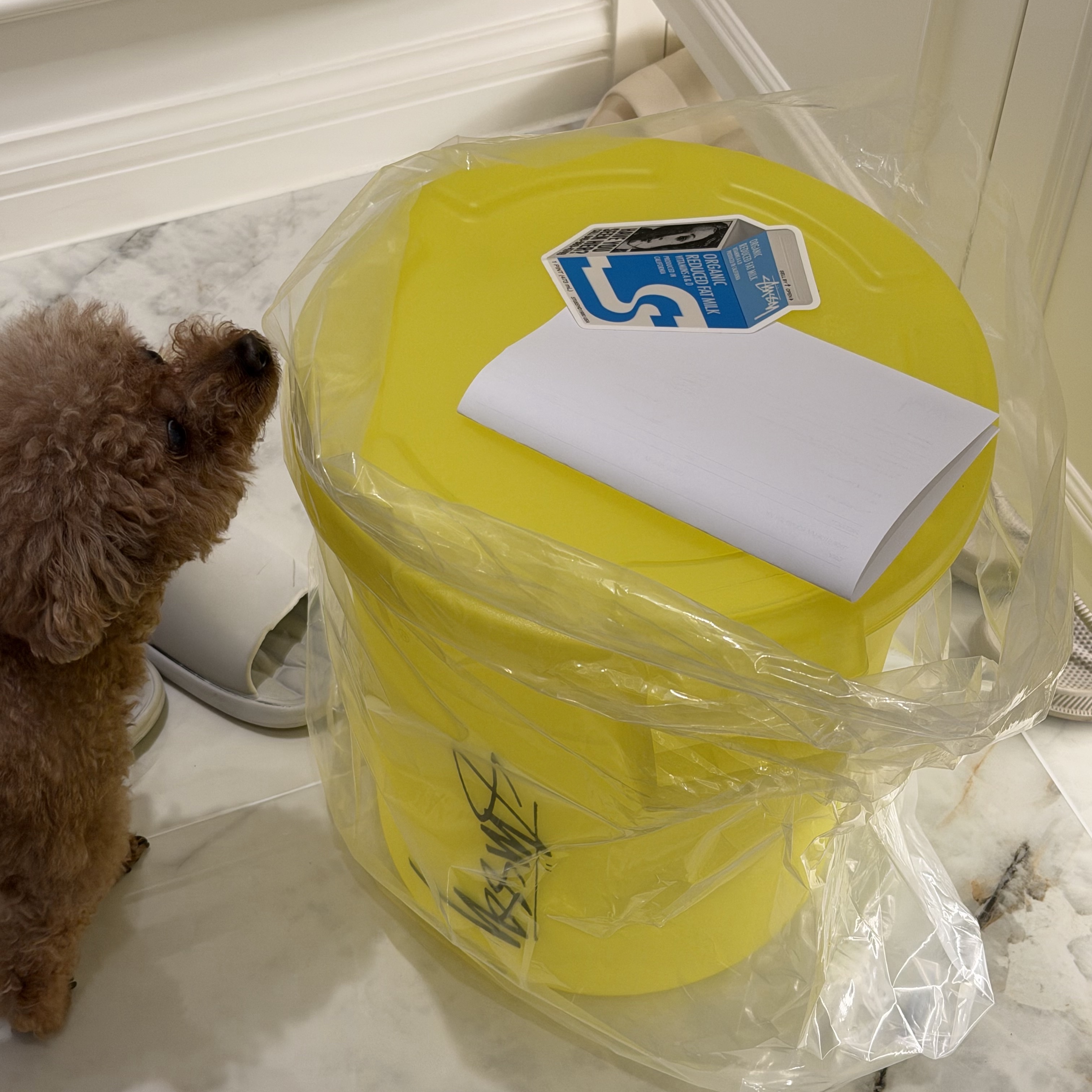 Stussy x Thor Storage Round Bin 23L Yellow 착용 스타일